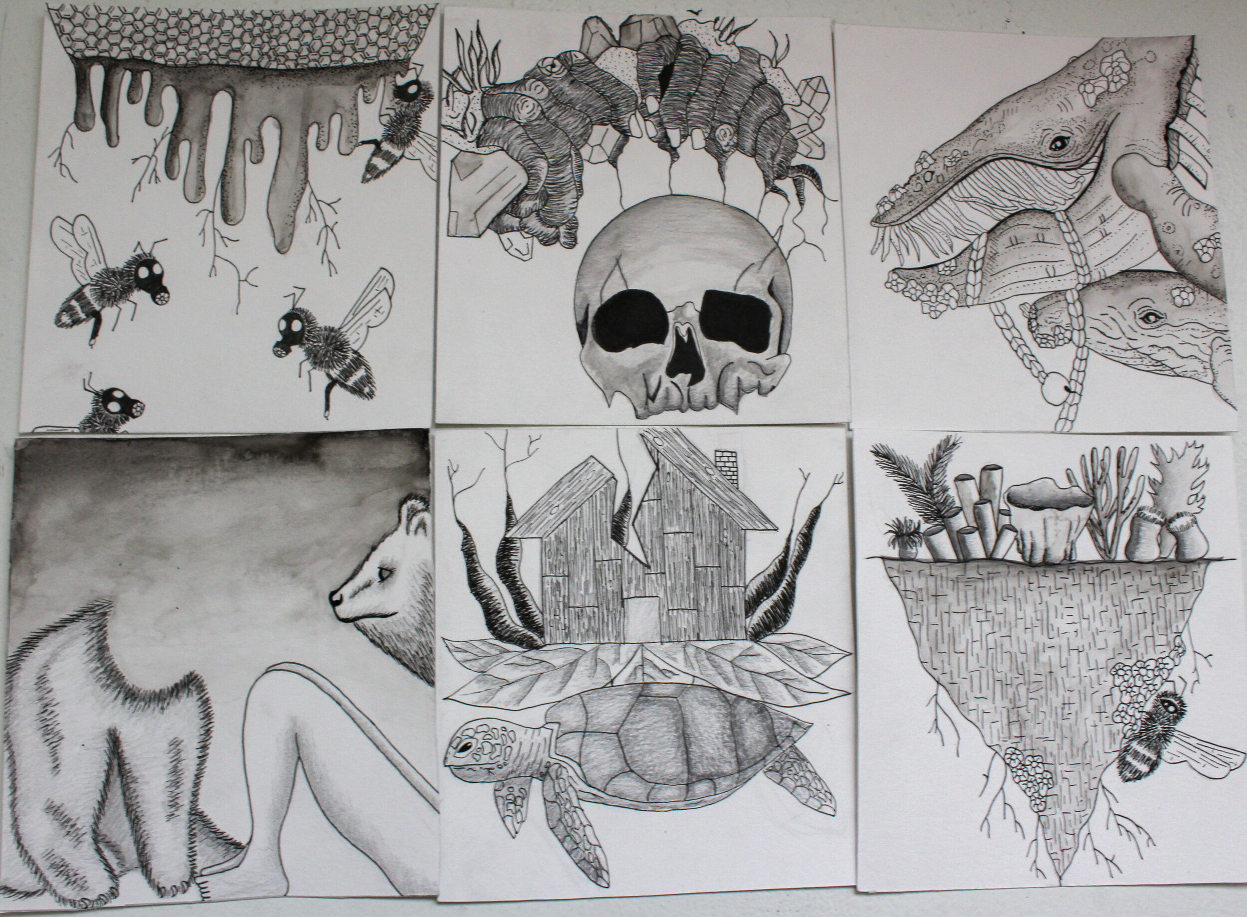 Birds of a Feather, Flock Together