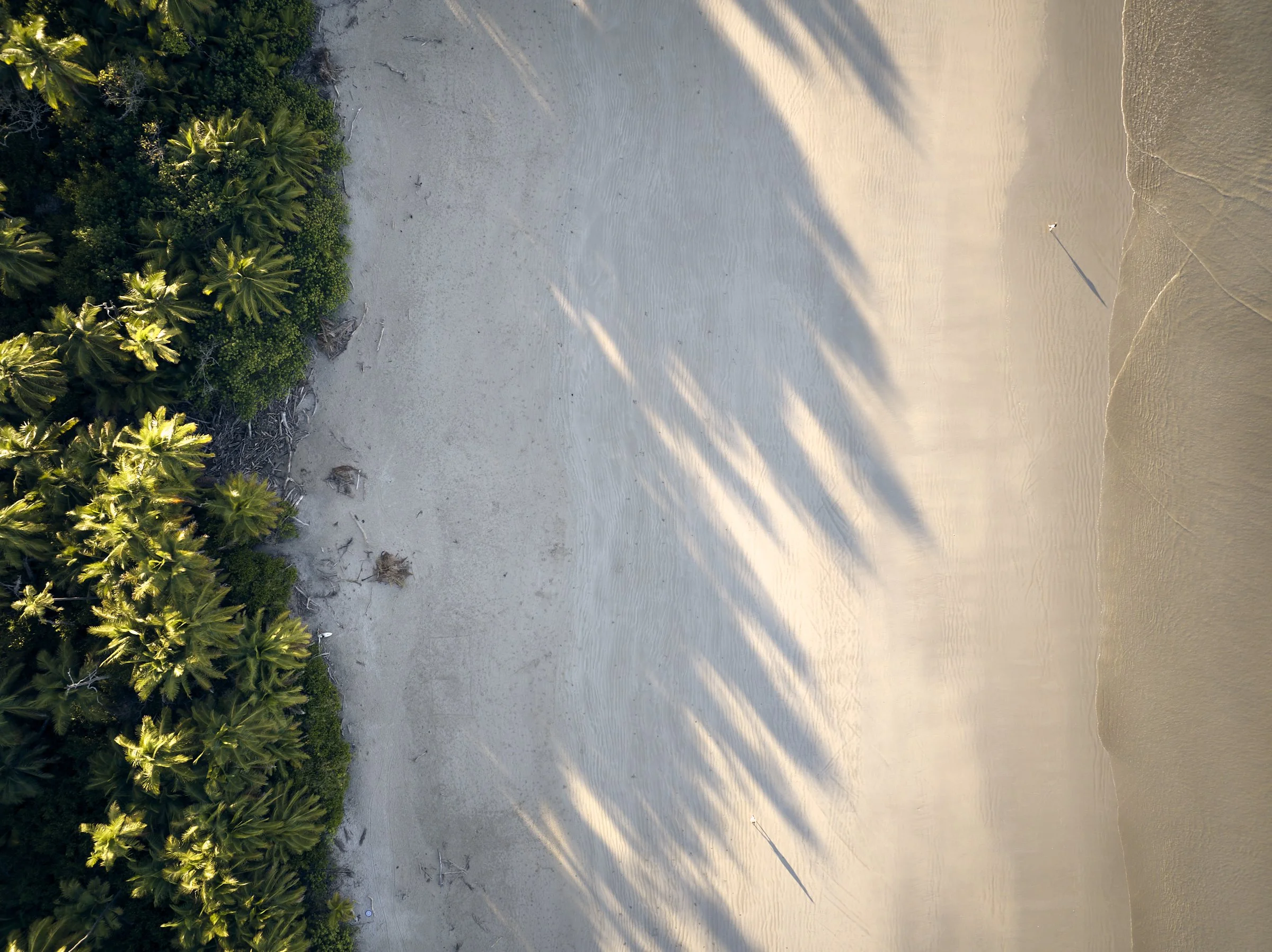 2026-01-19_Costa Rica_0086.jpg