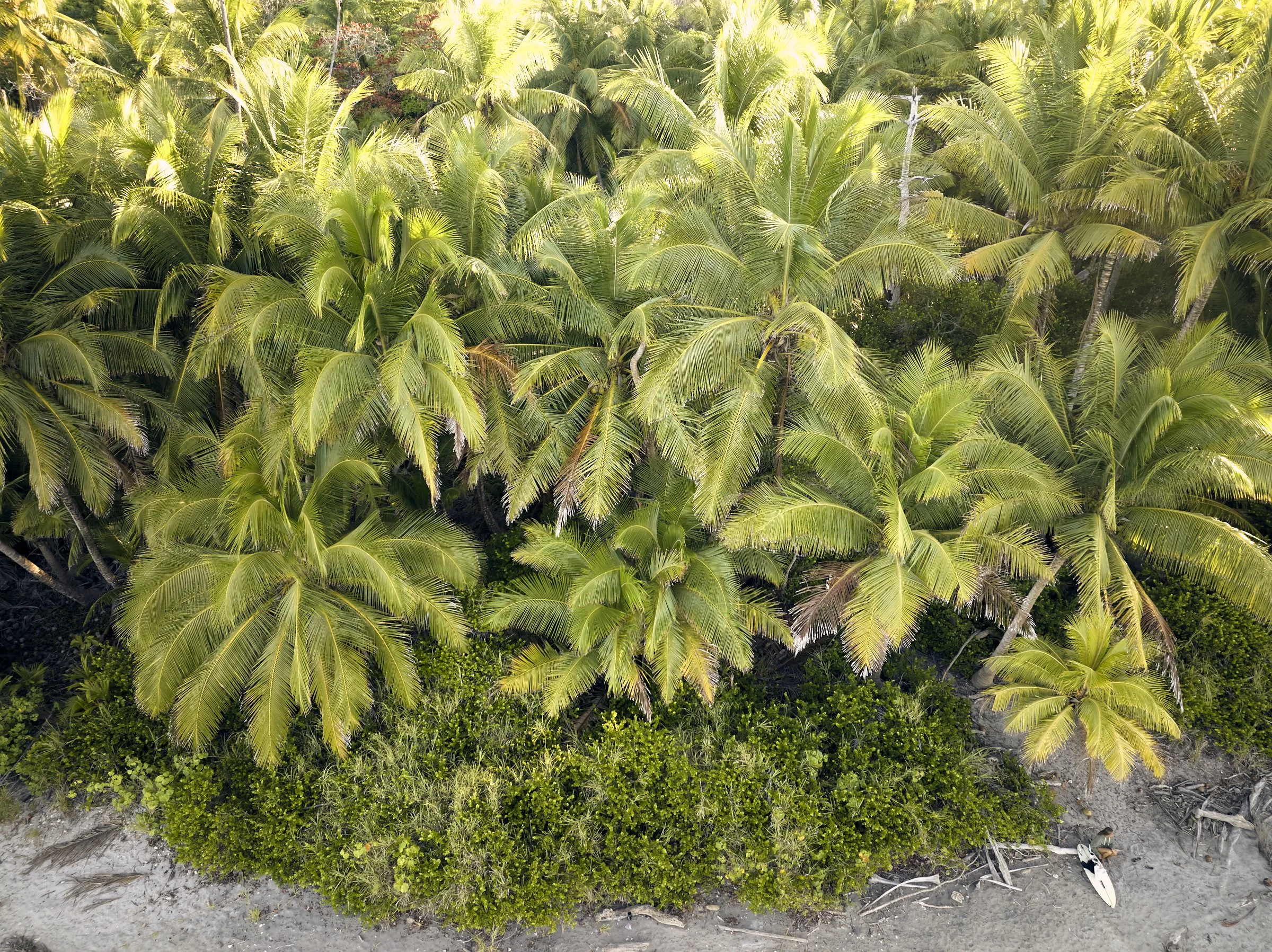 2026-01-19_Costa Rica_0085.jpg