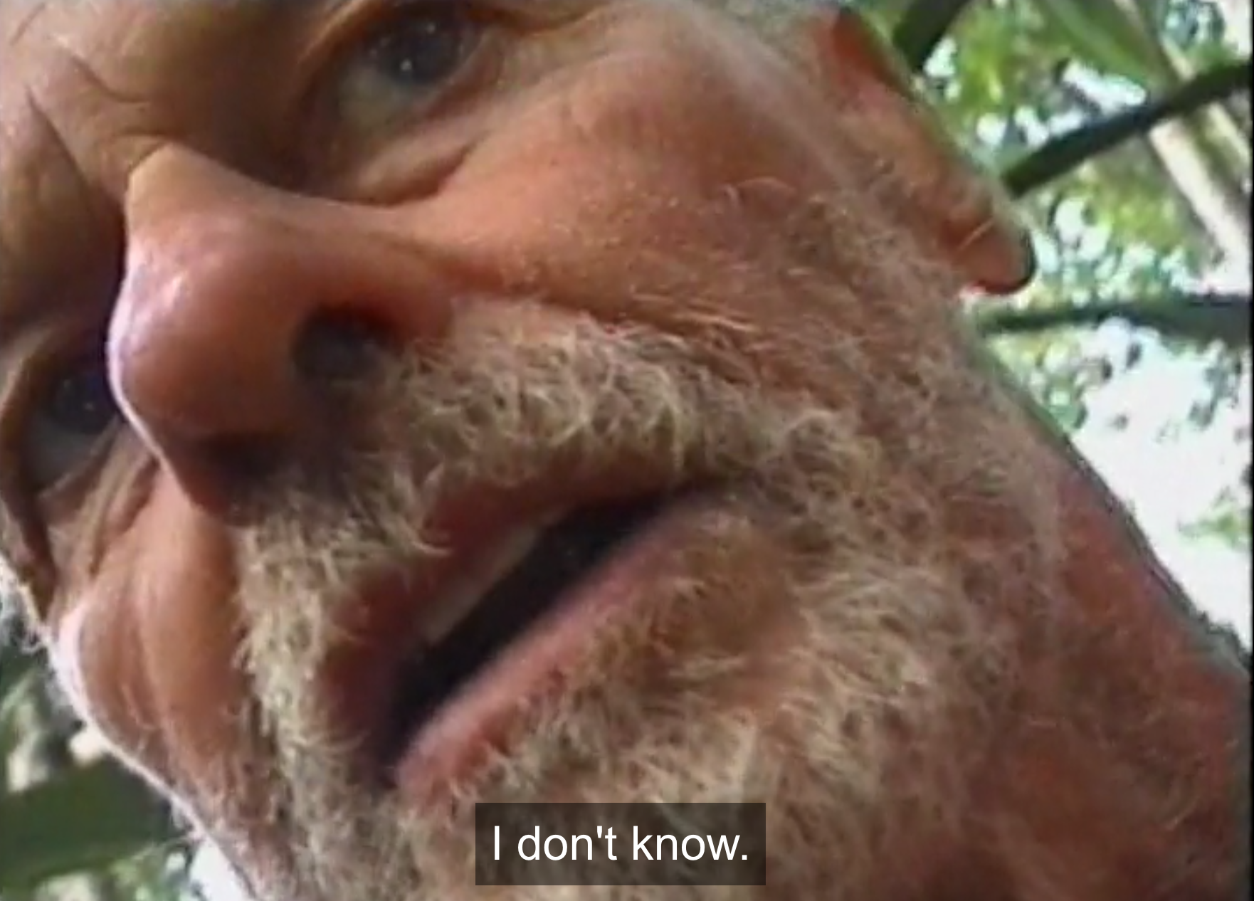 Screen Shot 2020-05-08 at 4.45.32 PM.png