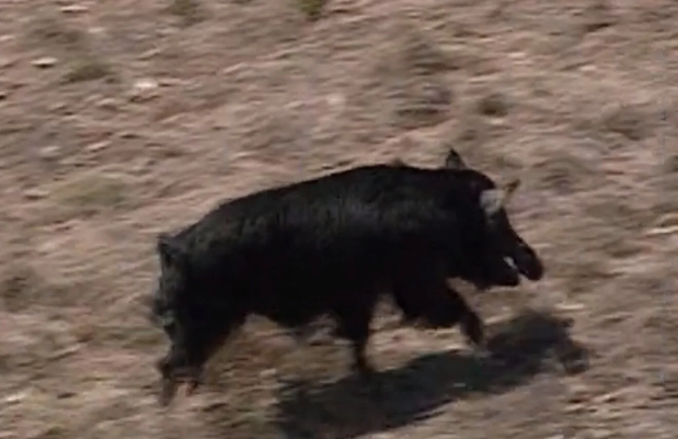 Season 2, Episode 4 - "The Killing Fields"