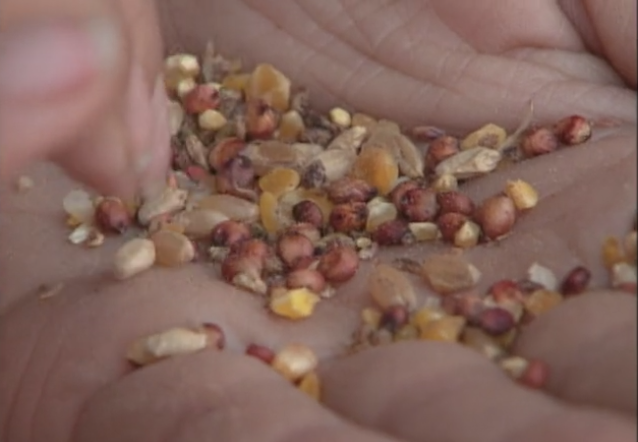 Chicken Feed, a Kucha delicacy.  All screenshots via Hulu.