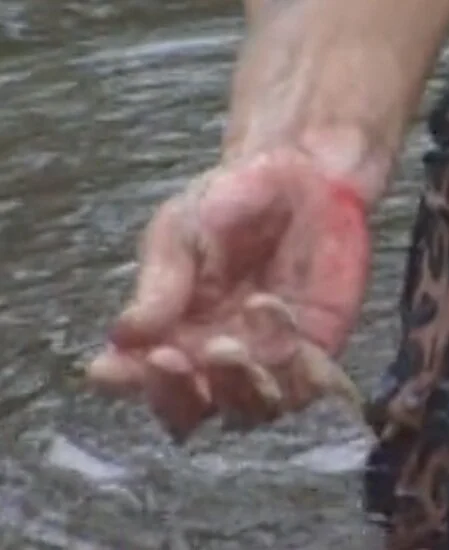 Not the best photo but you can see the skin hanging.  All screenshots via Hulu.