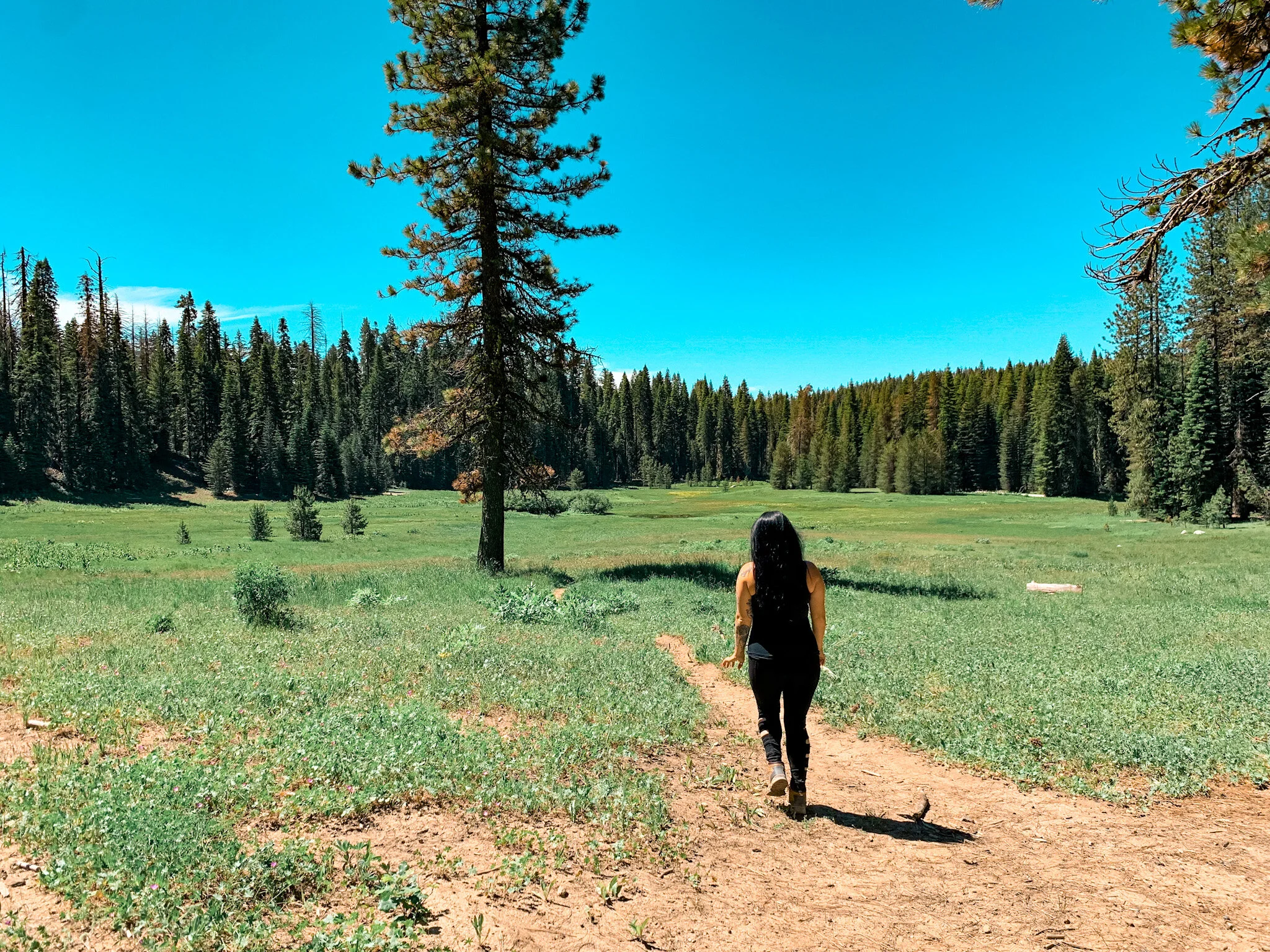 I Went For My Goals and You Can Too.