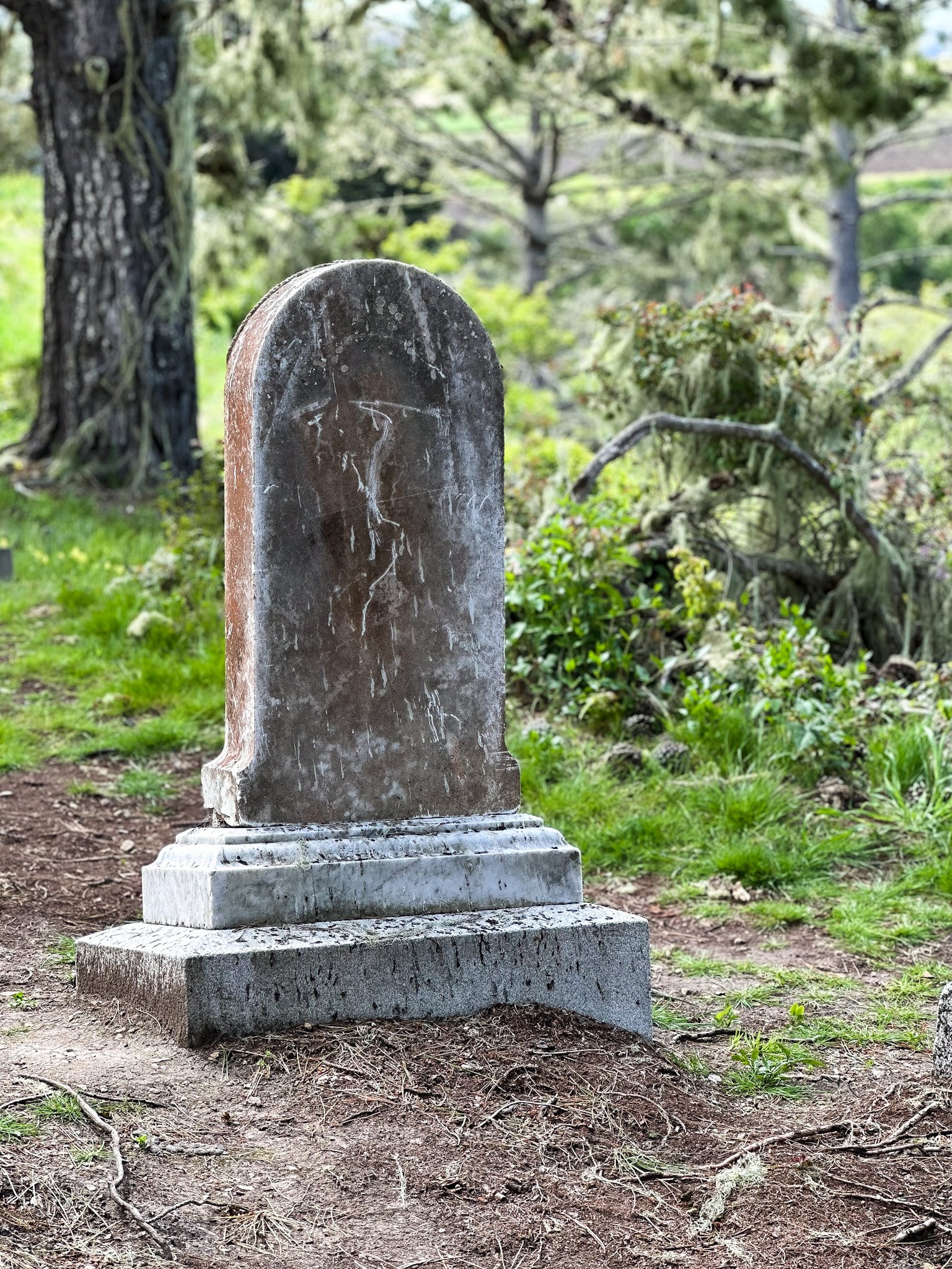 Purissima Gravestone 2