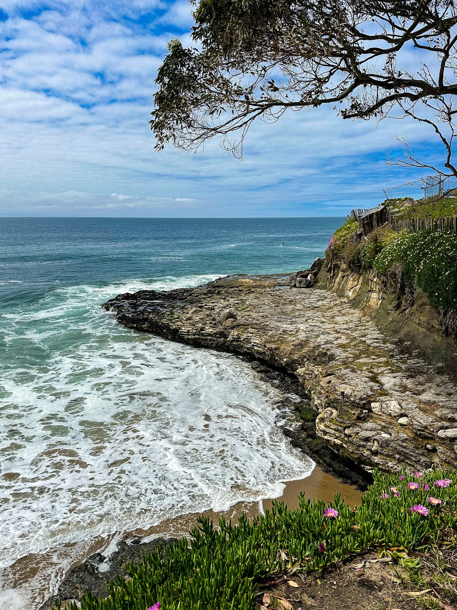 Experience The Mesmerizing Beauty of West Cliff in Santa Cruz, California.