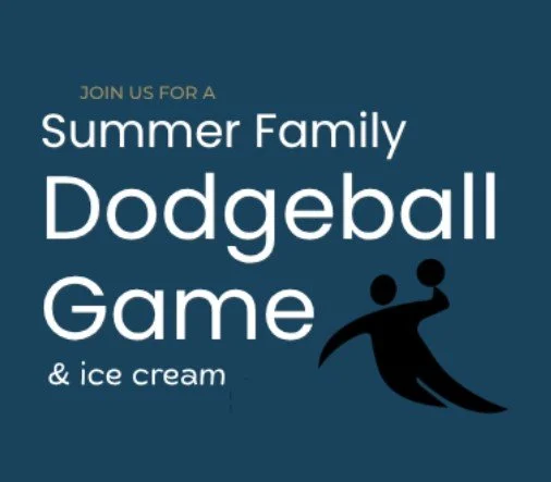 Summer Family Dogeball Game