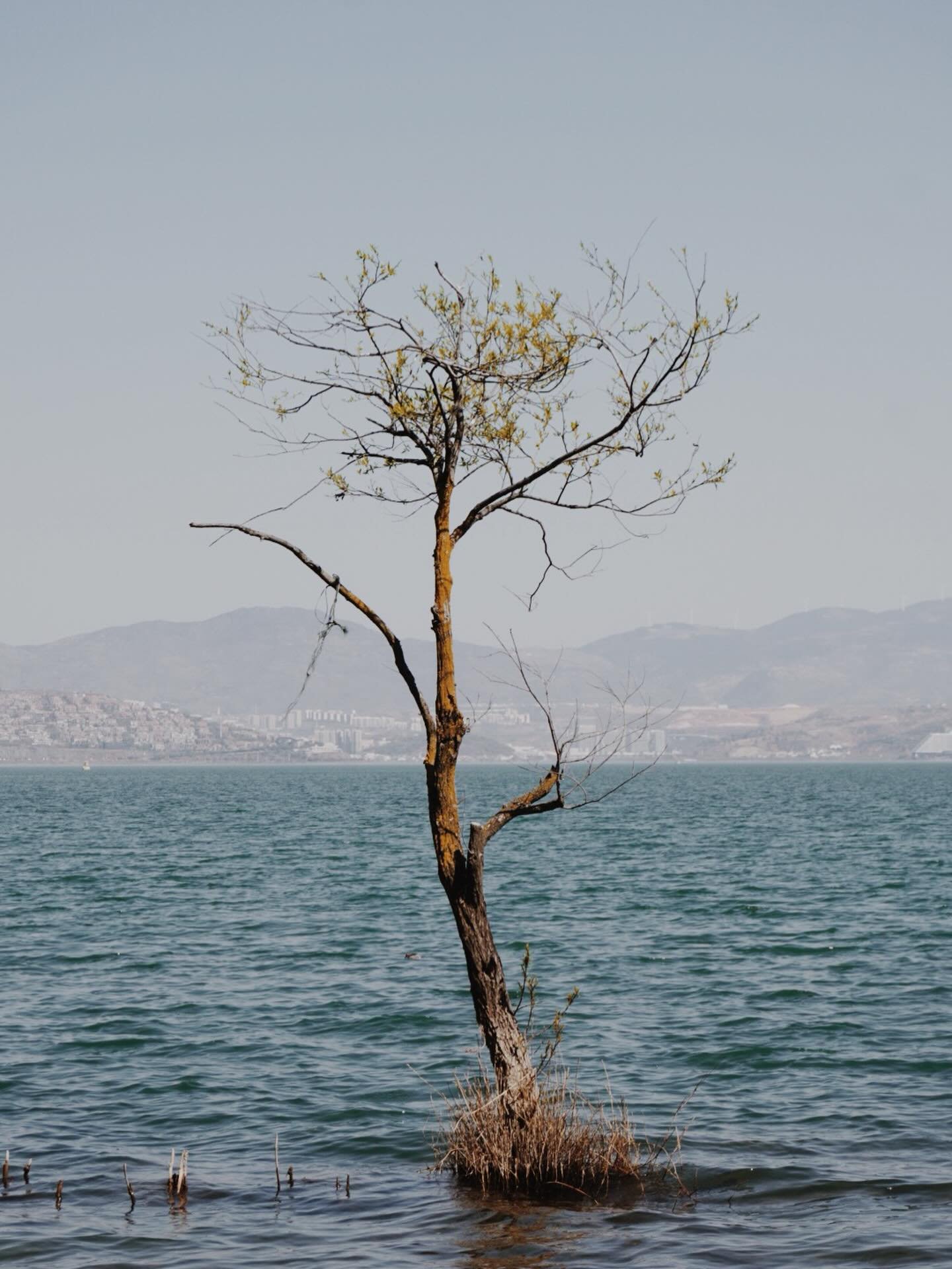 世界再對我再錯又有何懼？
26.02.21 by #2ridescent

#vsco #dali #yunnan #travelphotography