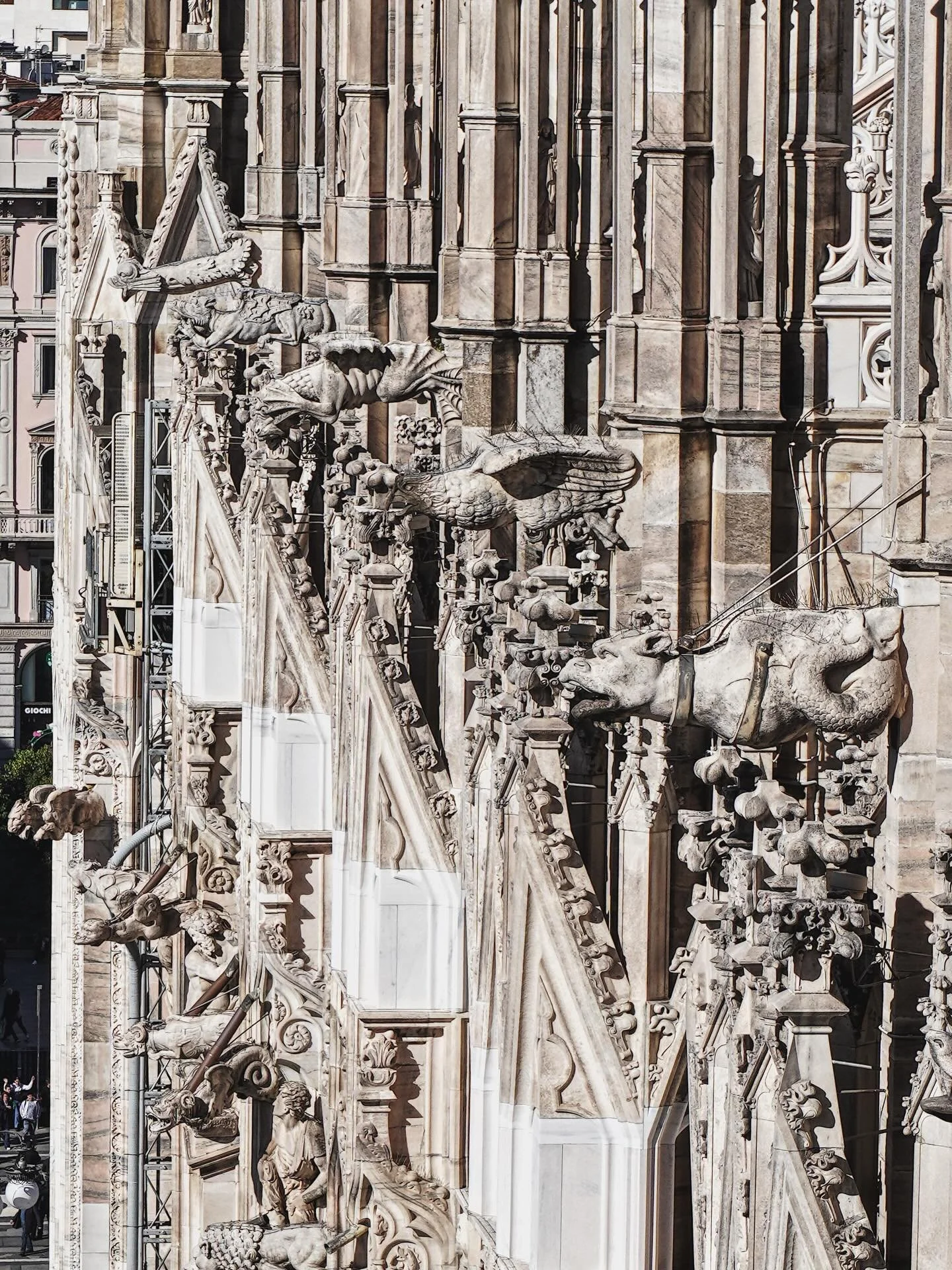 La calma &egrave; la virt&ugrave; dei forti.
25.10.06 by #2ridescent

#2ridescentday #milano #duomo #italy