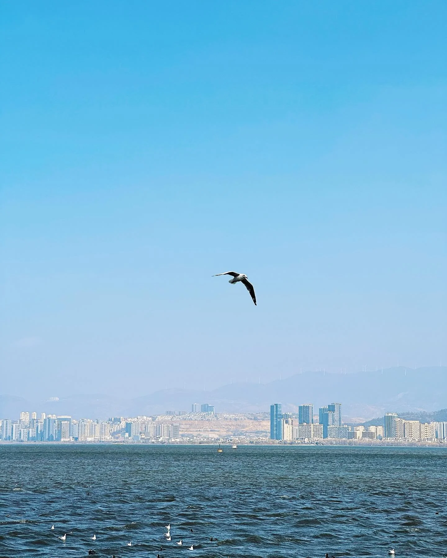 不曾说出口的牵挂
我都明白啊 都明白啊
25.02.01 by #2ridescent

#vsco #vscocam #livefolk #dali #yunnan #china #chinatravel #travelgram #travel #travelphotography #iphonography #erhai #travelchina #chinadestinations