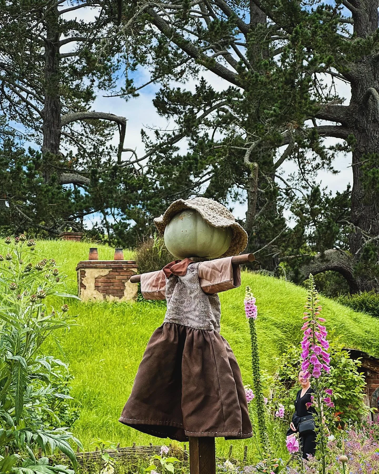 上一次看 才二十三。