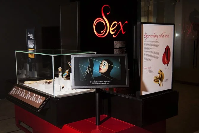 Natural History Museum (UK)  —  Sexual Nature