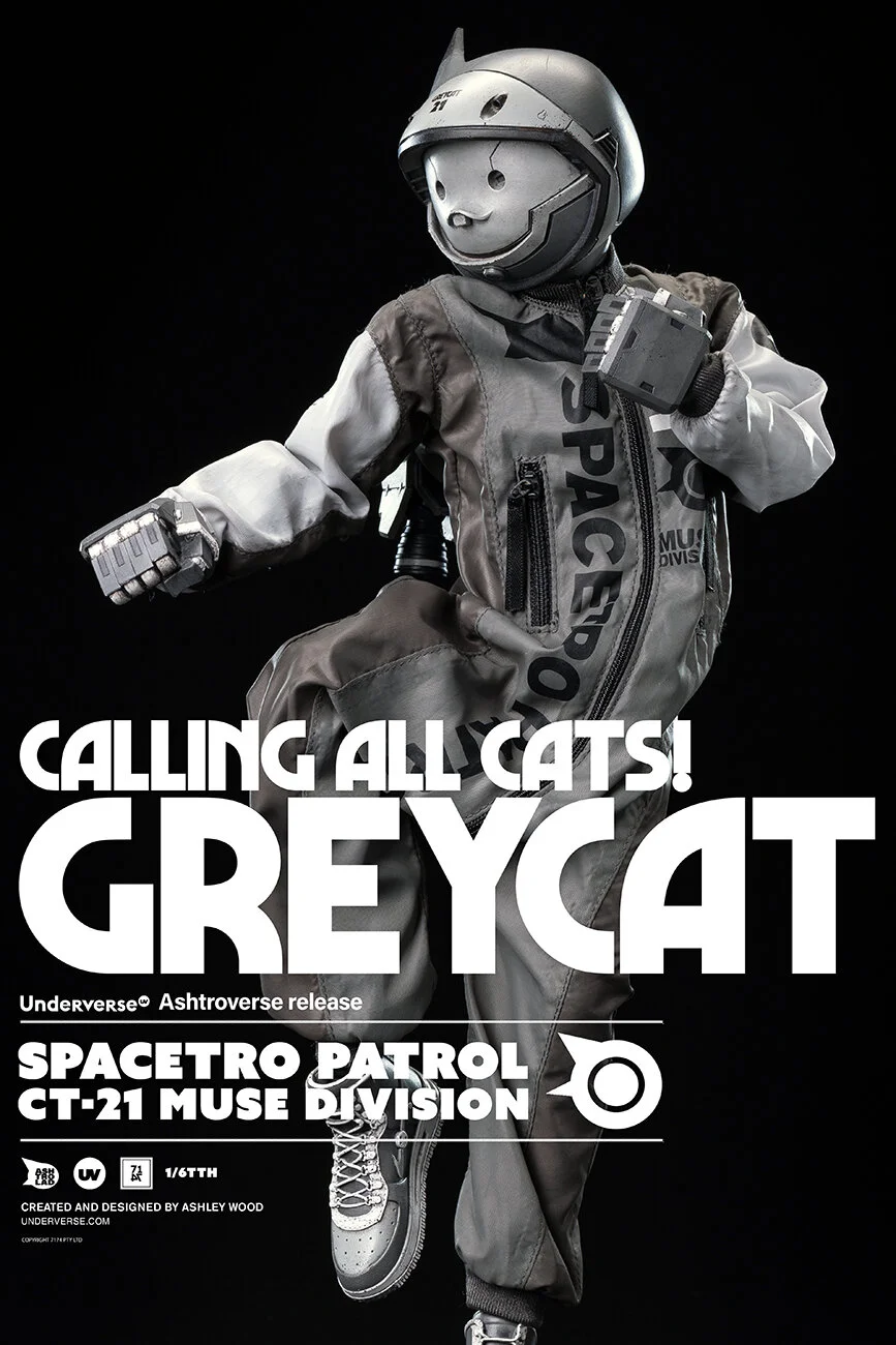 GREY CAT 2.JPG