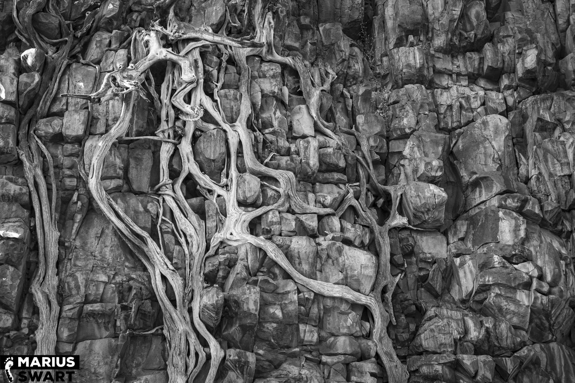 MS-BW-20090527-37.jpg