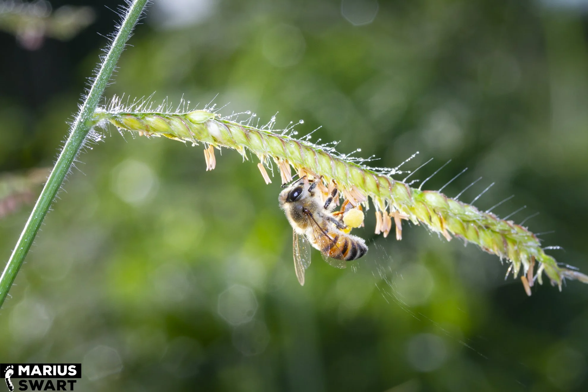 MS-TZ-20110218-351.jpg