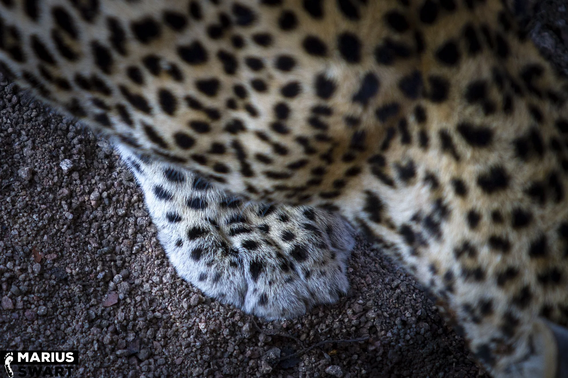 MS-TZ-20131023-1669.jpg