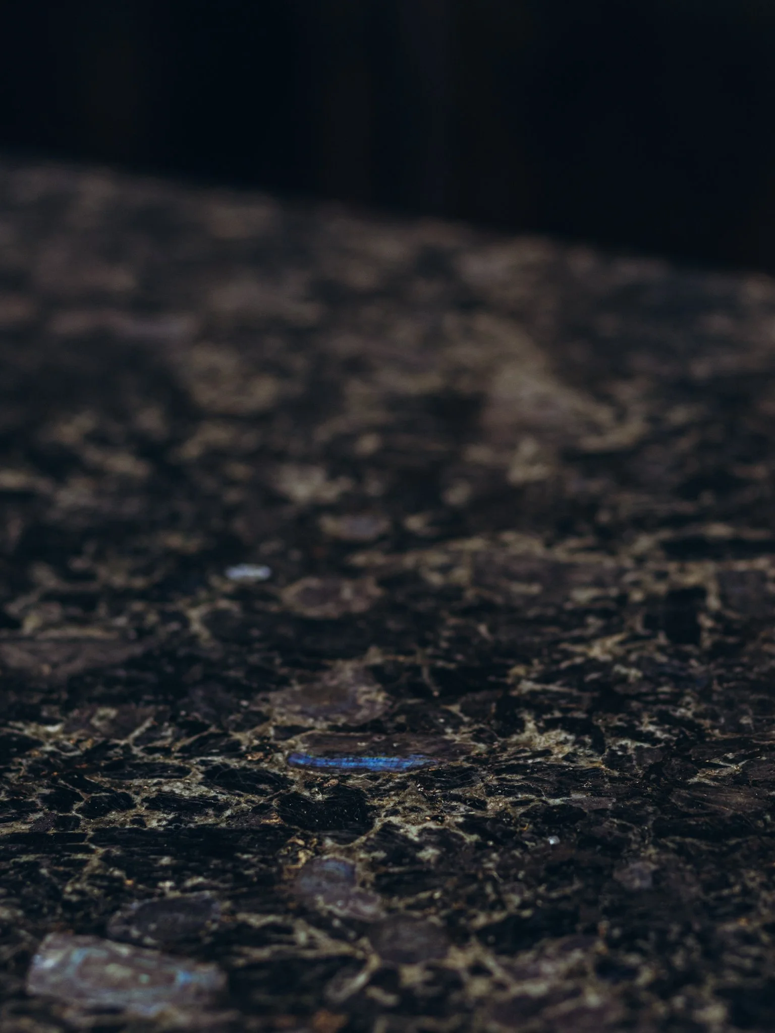 2024.03.12 Pridex - Breaker Bay WEB-9802.jpg