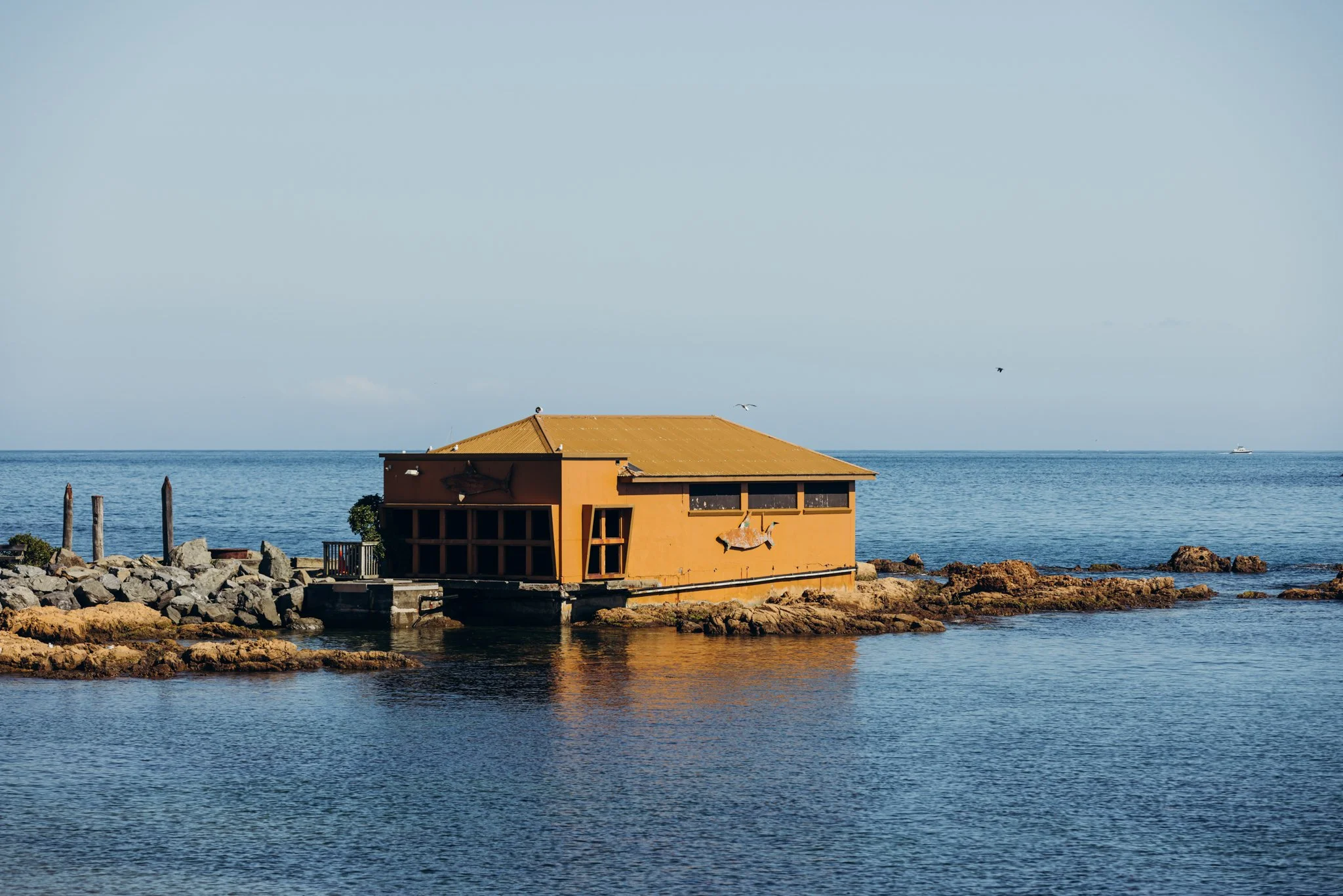 2024.11.13 RJC Building - Island Bay WEB-3400.jpg