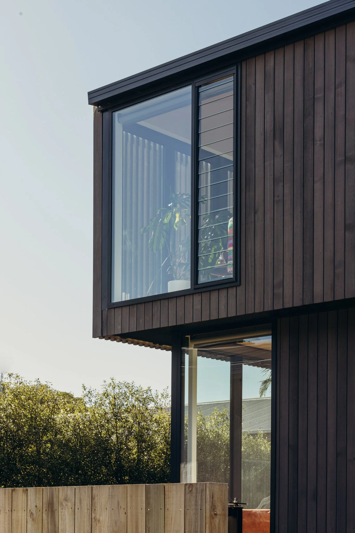 2024.04.23 Mackit Architecture - Pukatea St WEB-2918.jpg