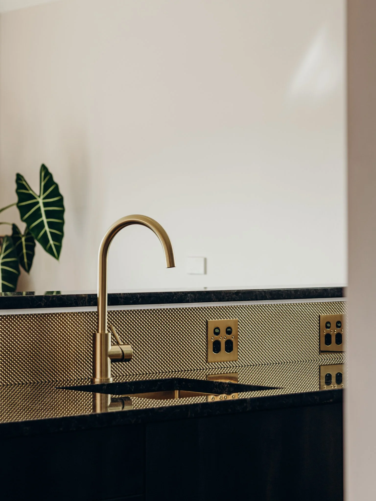 2024.03.12 Pridex - Breaker Bay WEB-9794.jpg