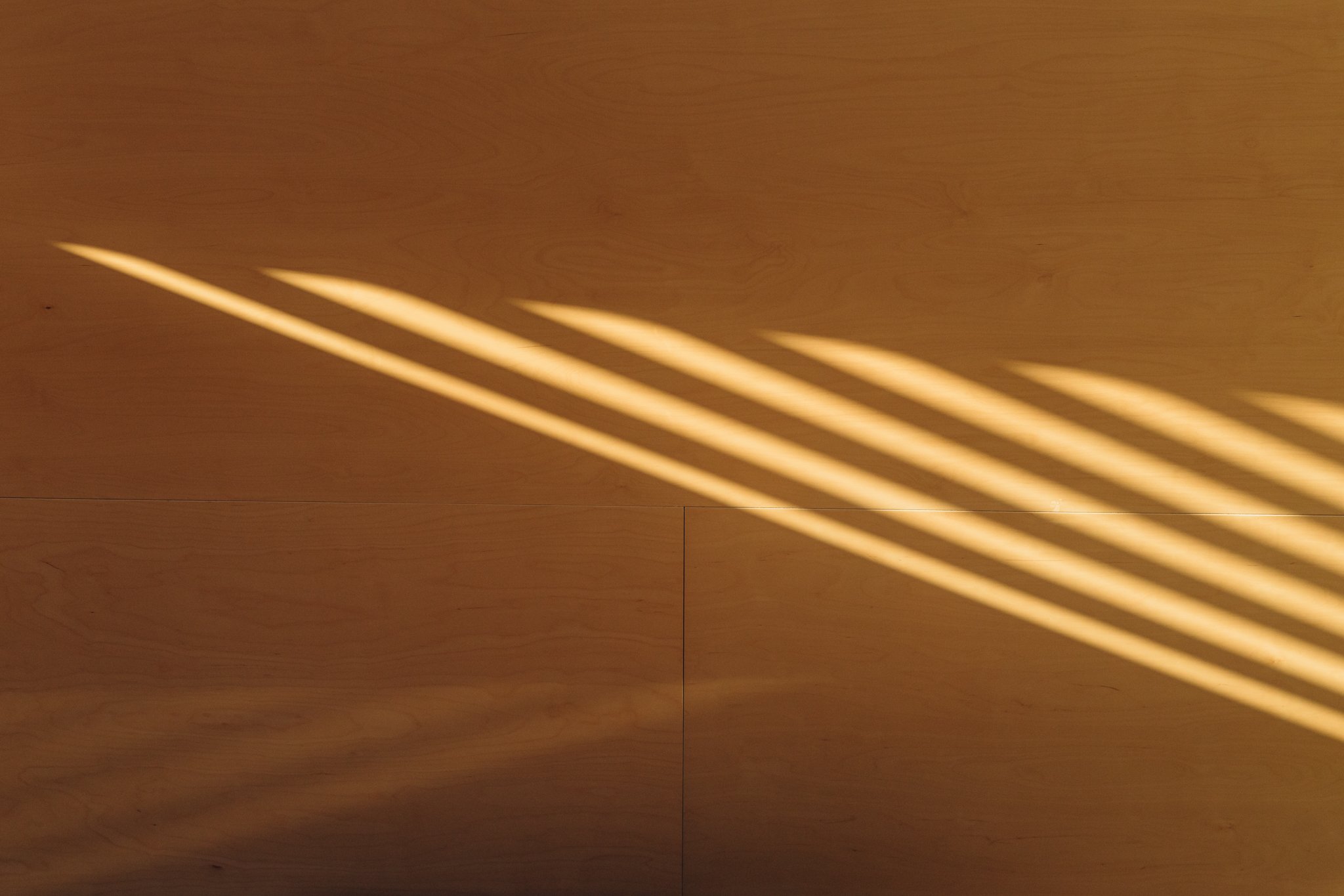 2024.04.23 Mackit Architecture - Pukatea St WEB-3167.jpg