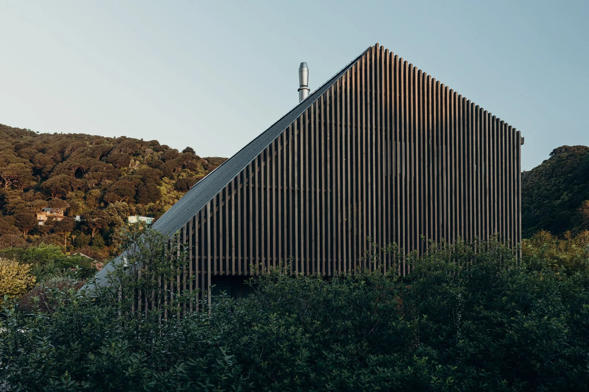 2024.04.23 Mackit Architecture - Pukatea St WEB-3197.jpg