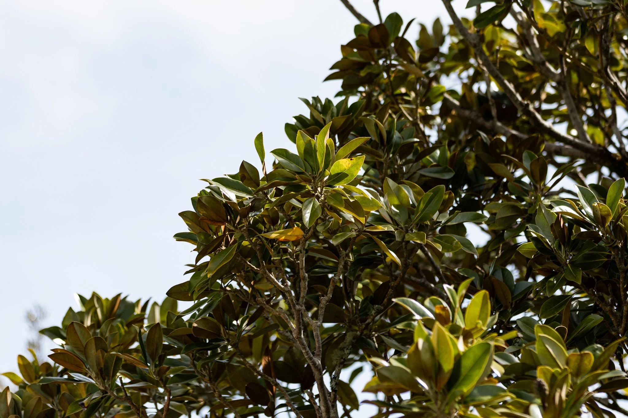 2025.10.24 Spice Build - Barton Road FINALS WEB-0240.jpg