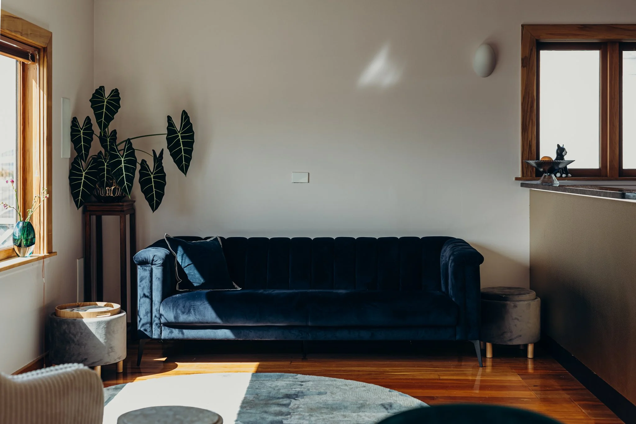 2024.03.12 Pridex - Breaker Bay WEB-9809.jpg