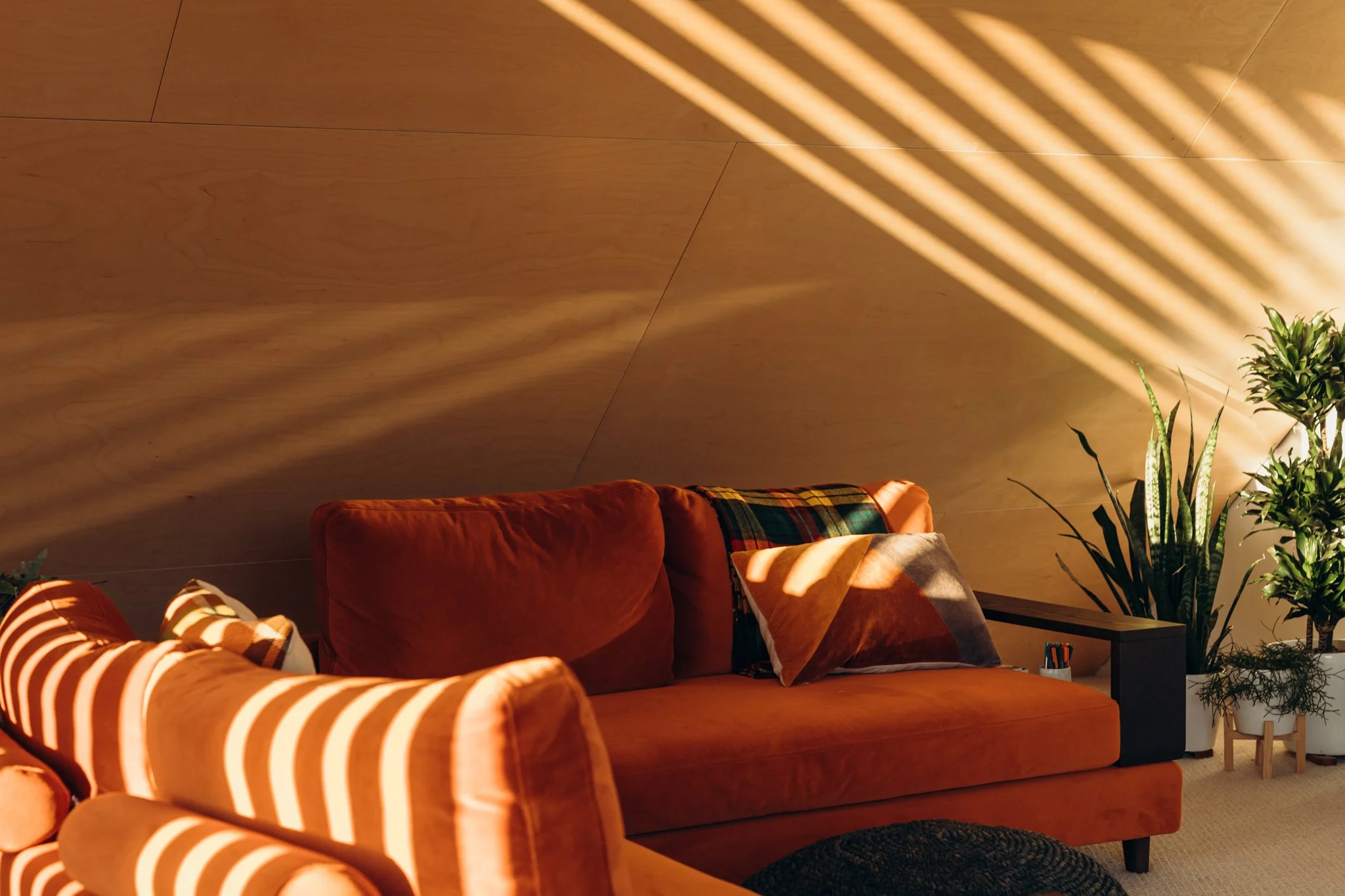 2024.04.23 Mackit Architecture - Pukatea St WEB-3173.jpg