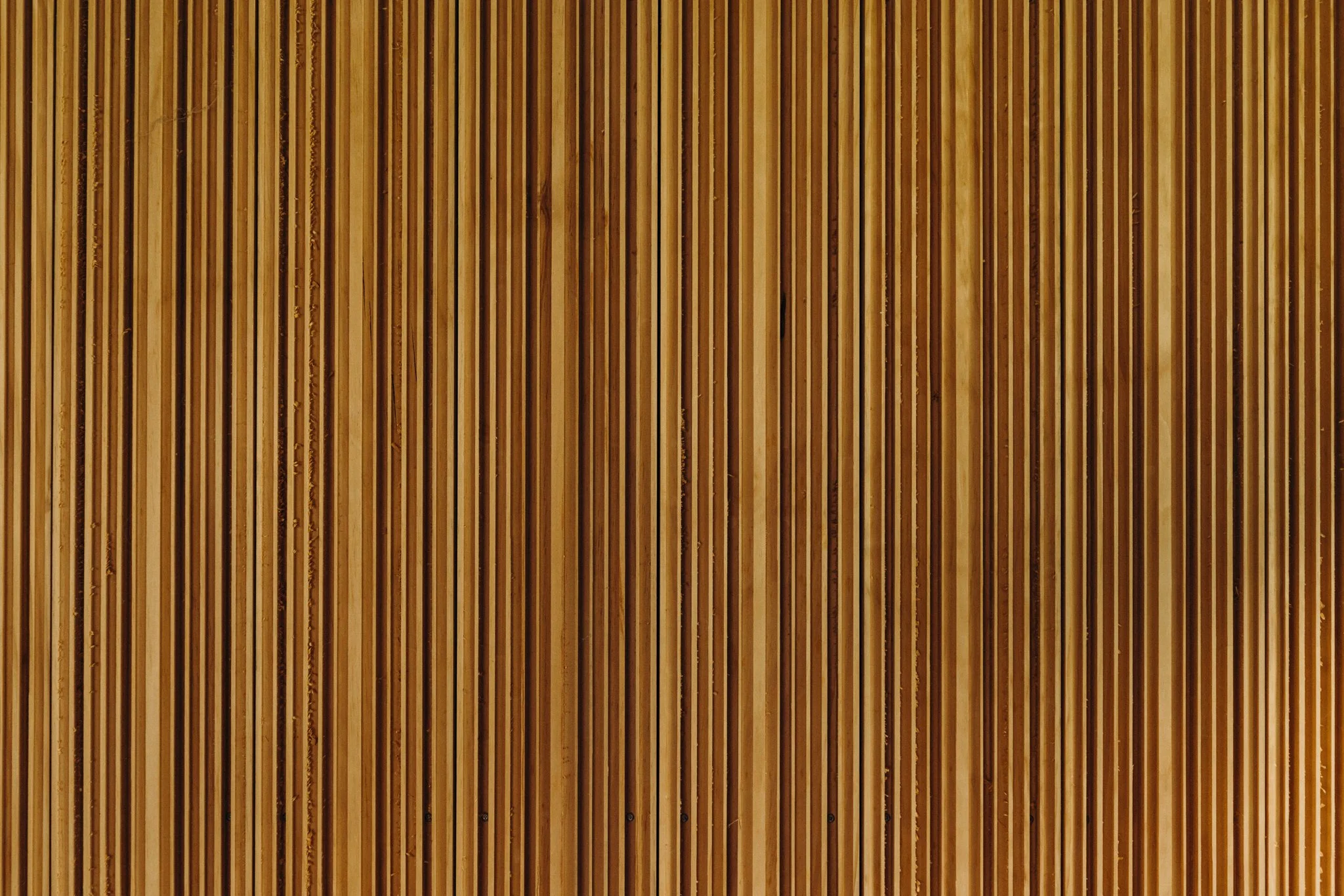2025.03.17 Birdwood Studio WEB-1163.jpg