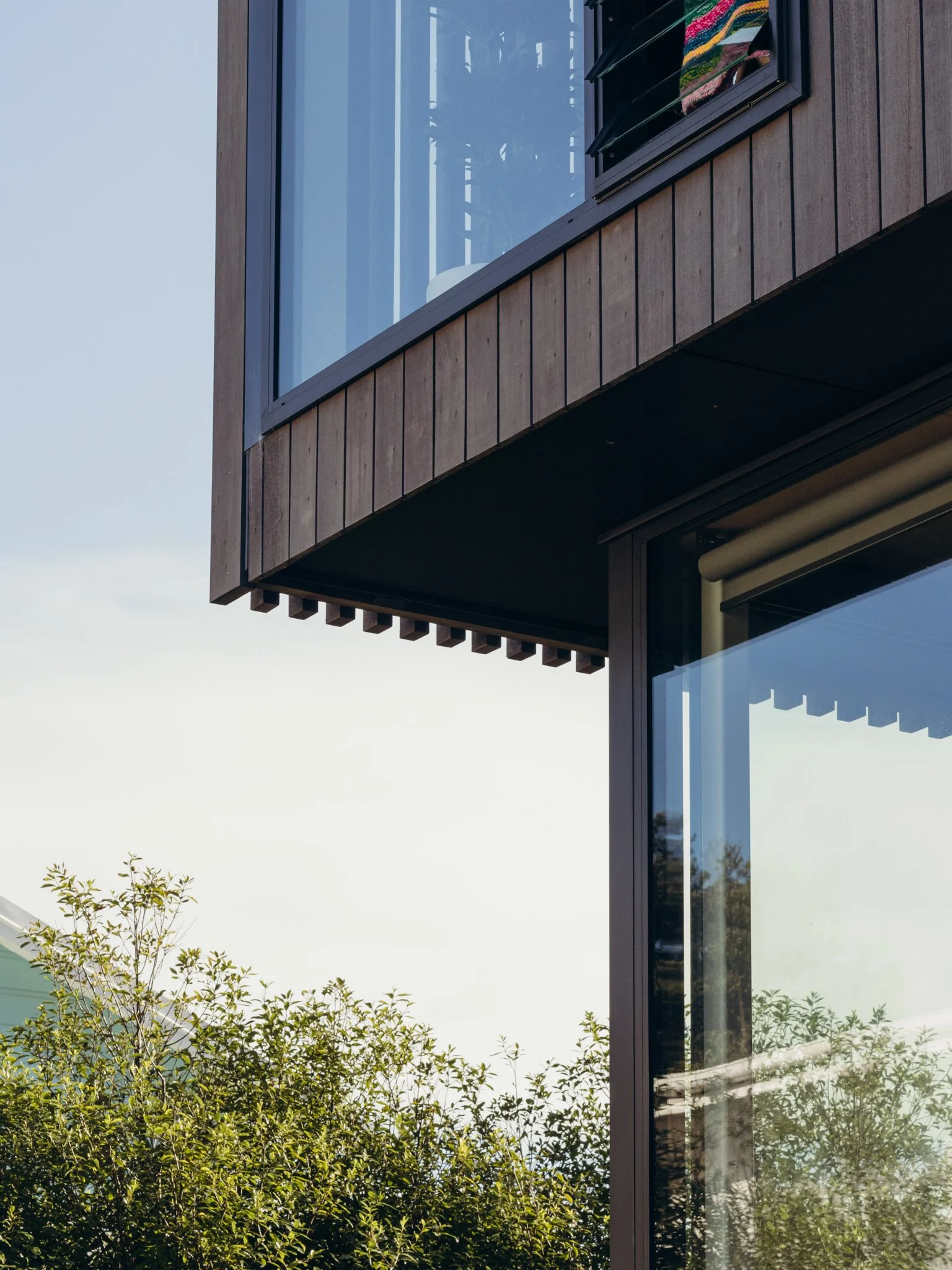 2024.04.23 Mackit Architecture - Pukatea St WEB-3350.jpg