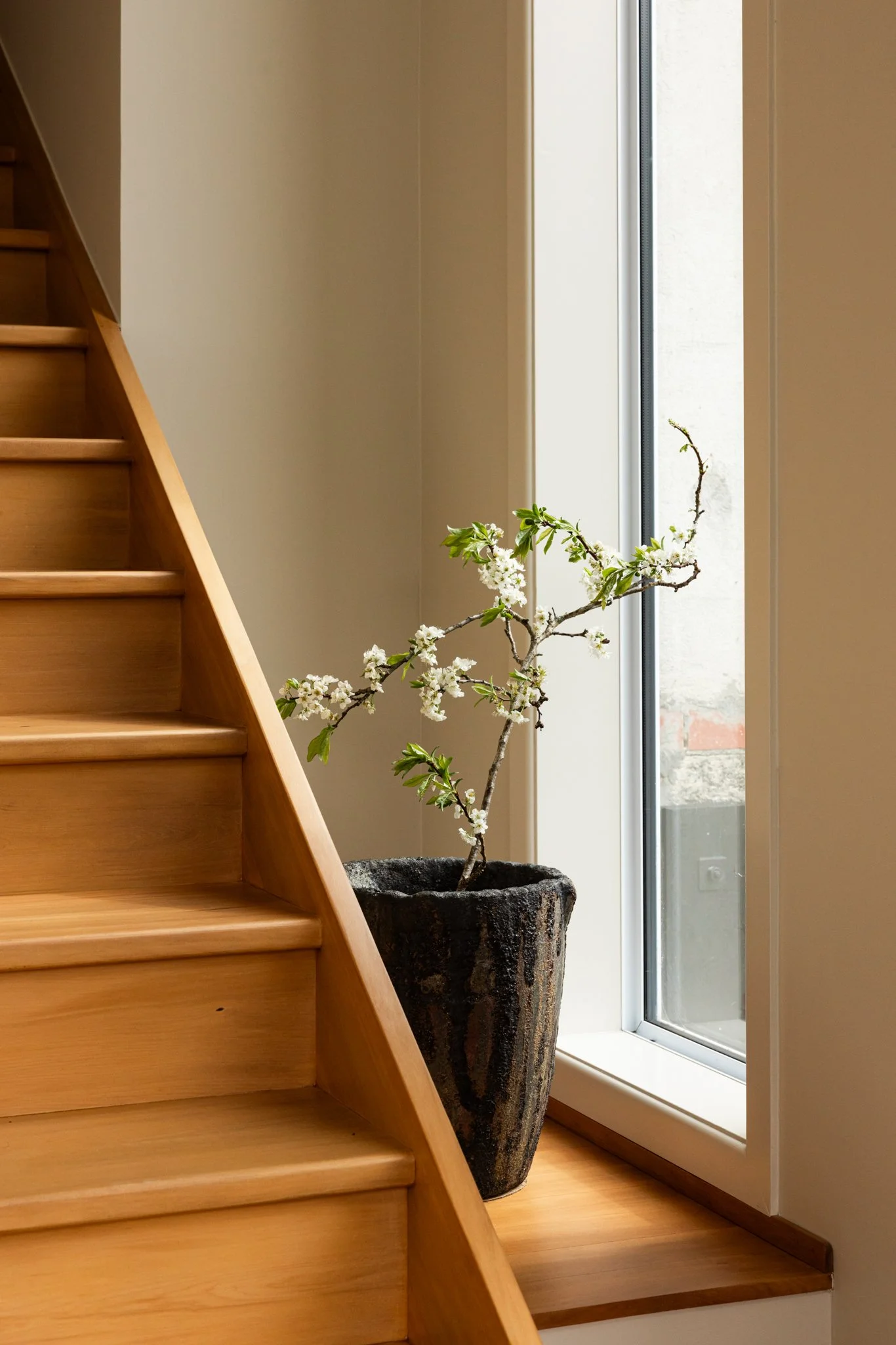 2025.09.12 Inline Karori WEB-2178.jpg