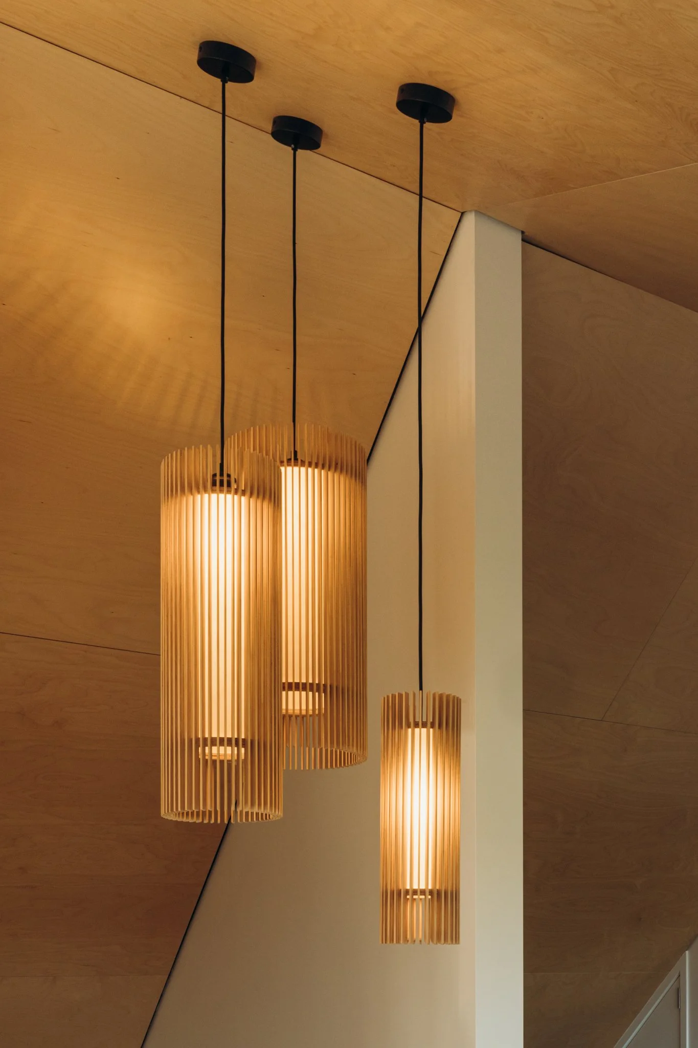 2024.04.23 Mackit Architecture - Pukatea St WEB-3035.jpg