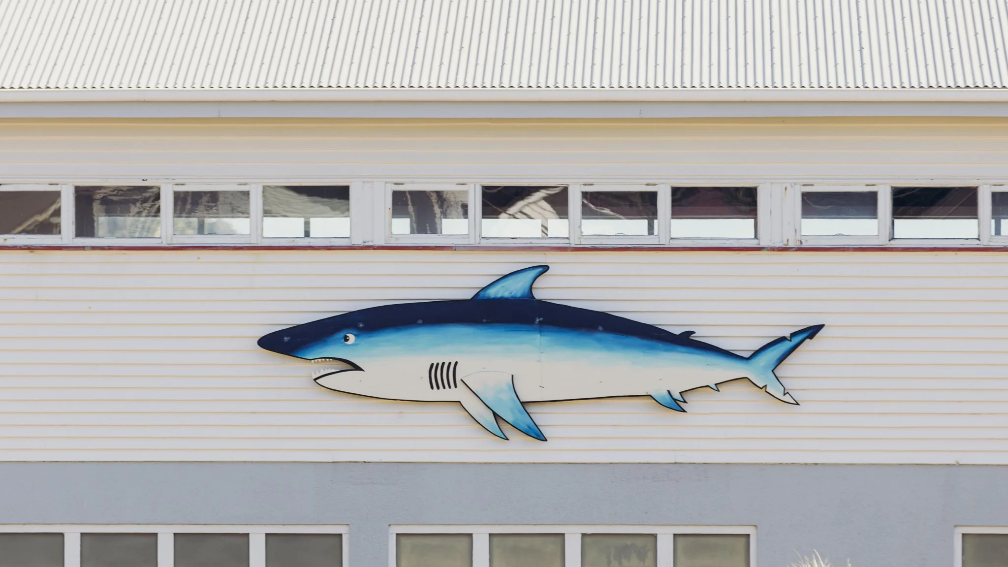 2024.11.13 RJC Building - Island Bay WEB-3441.jpg