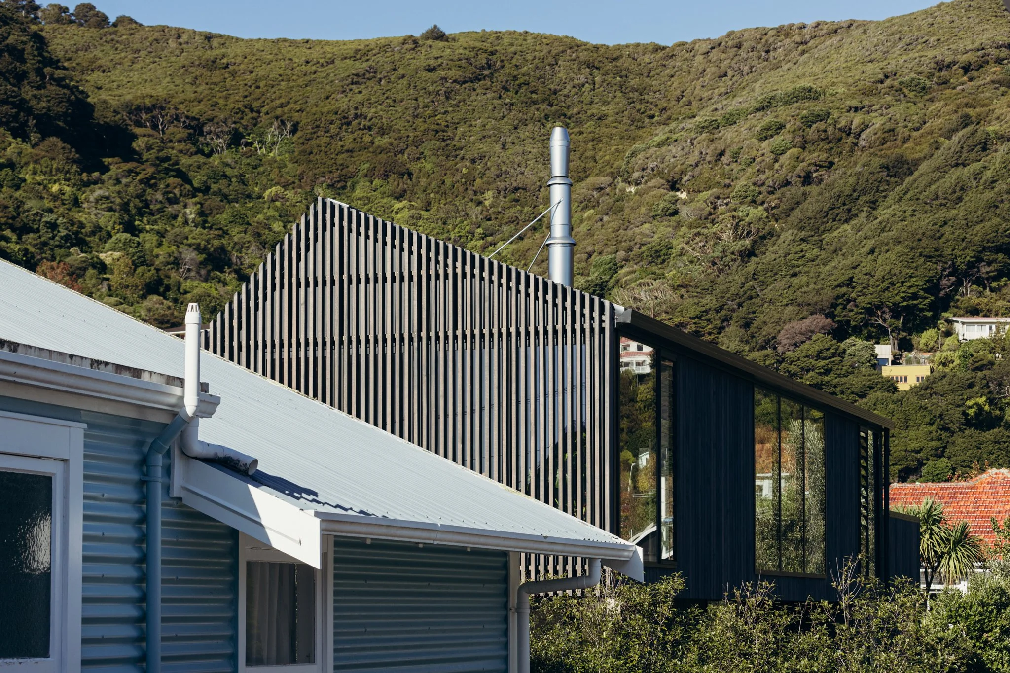 2024.04.23 Mackit Architecture - Pukatea St WEB-2931.jpg
