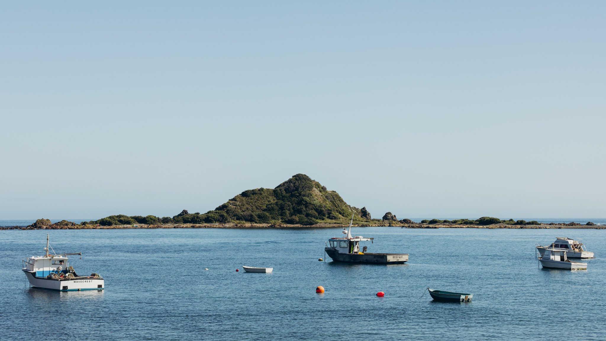 2024.11.13 RJC Building - Island Bay WEB-3401.jpg