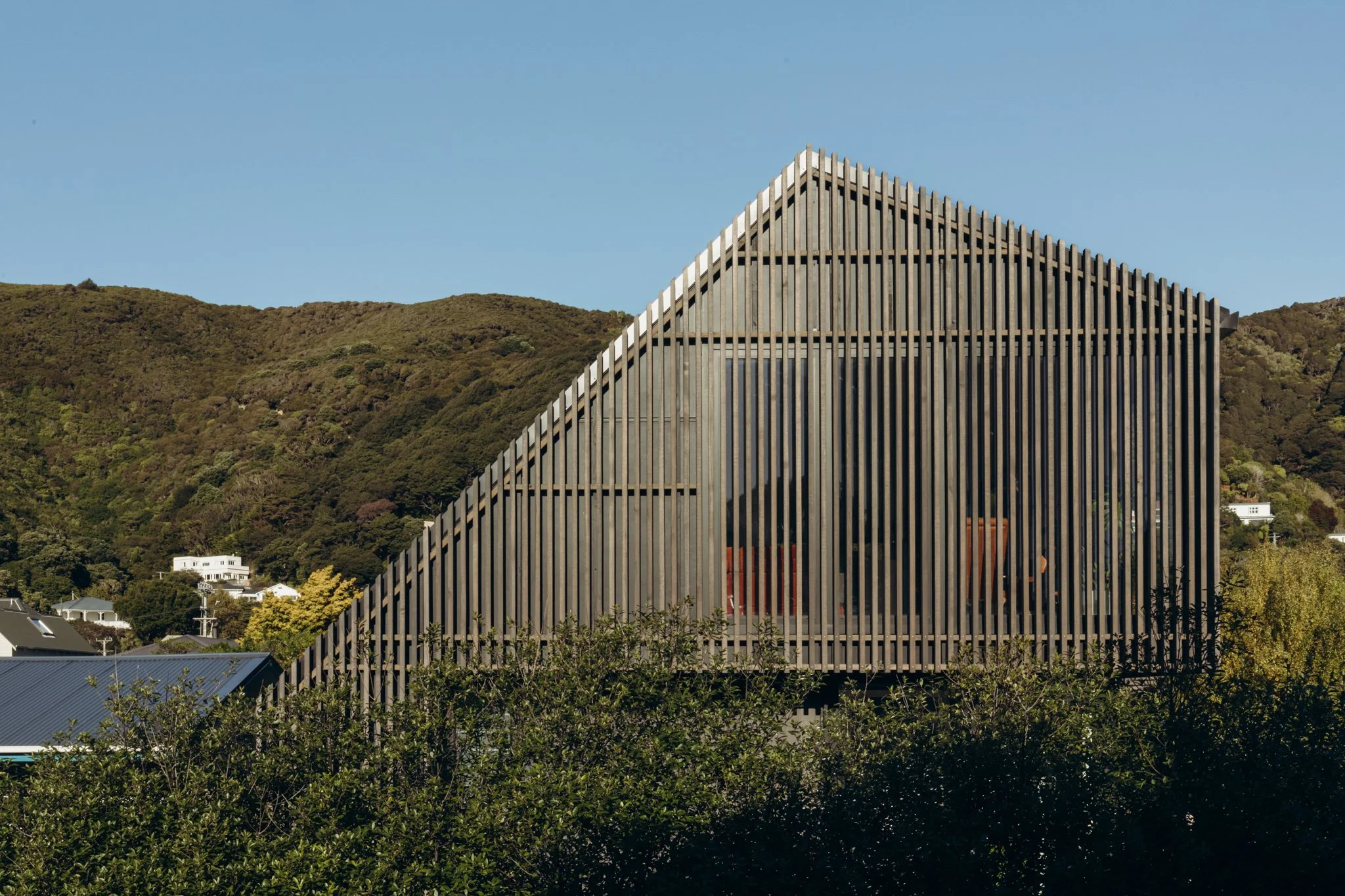 2024.04.23 Mackit Architecture - Pukatea St WEB-3001.jpg