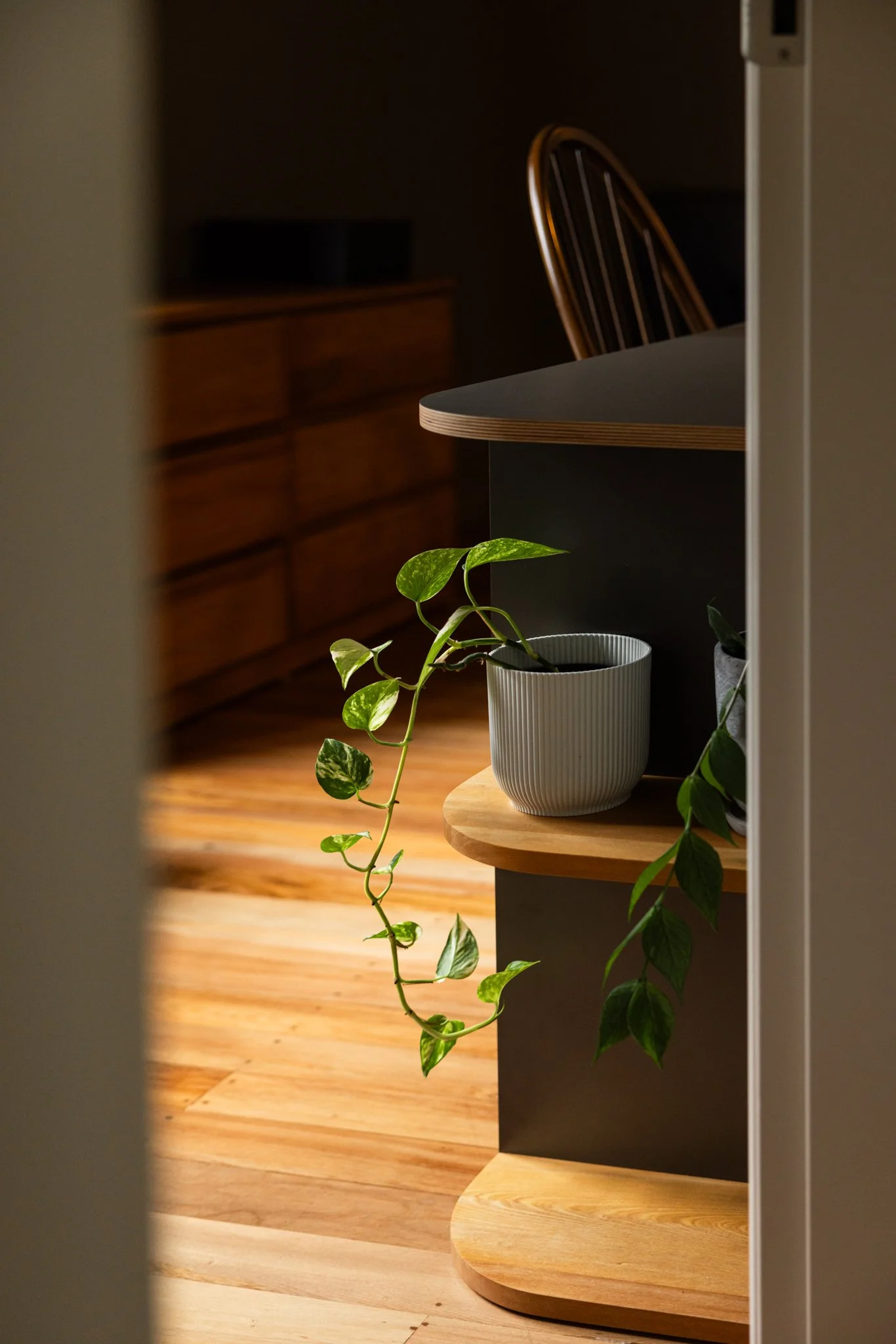 2025.09.12 Inline Karori WEB-2139.jpg