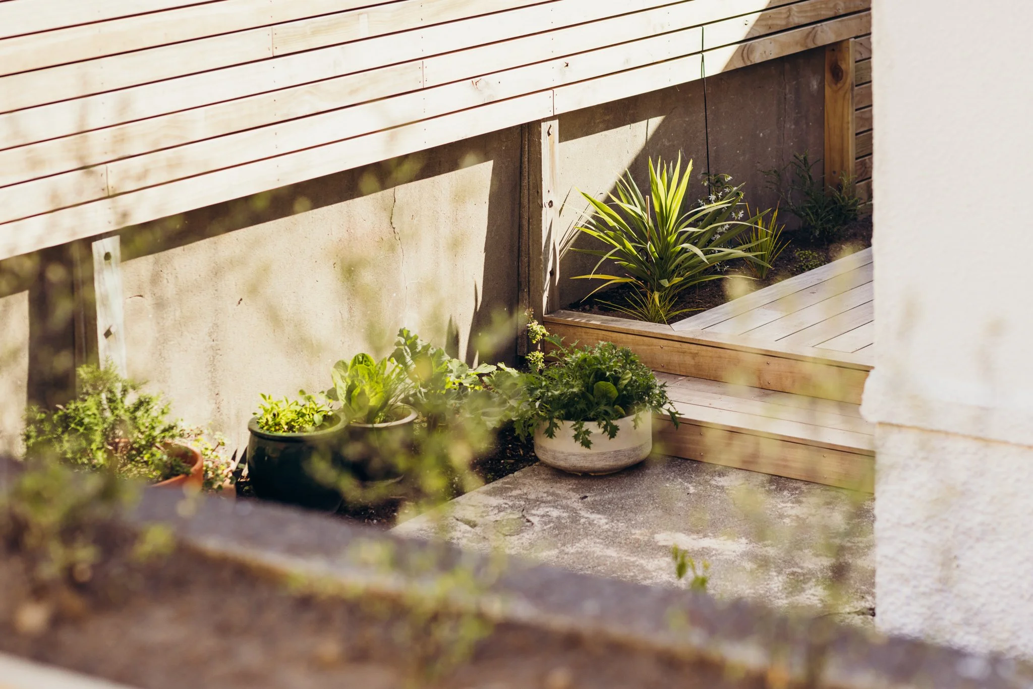 2024.11.13 RJC Building - Island Bay WEB-3518.jpg