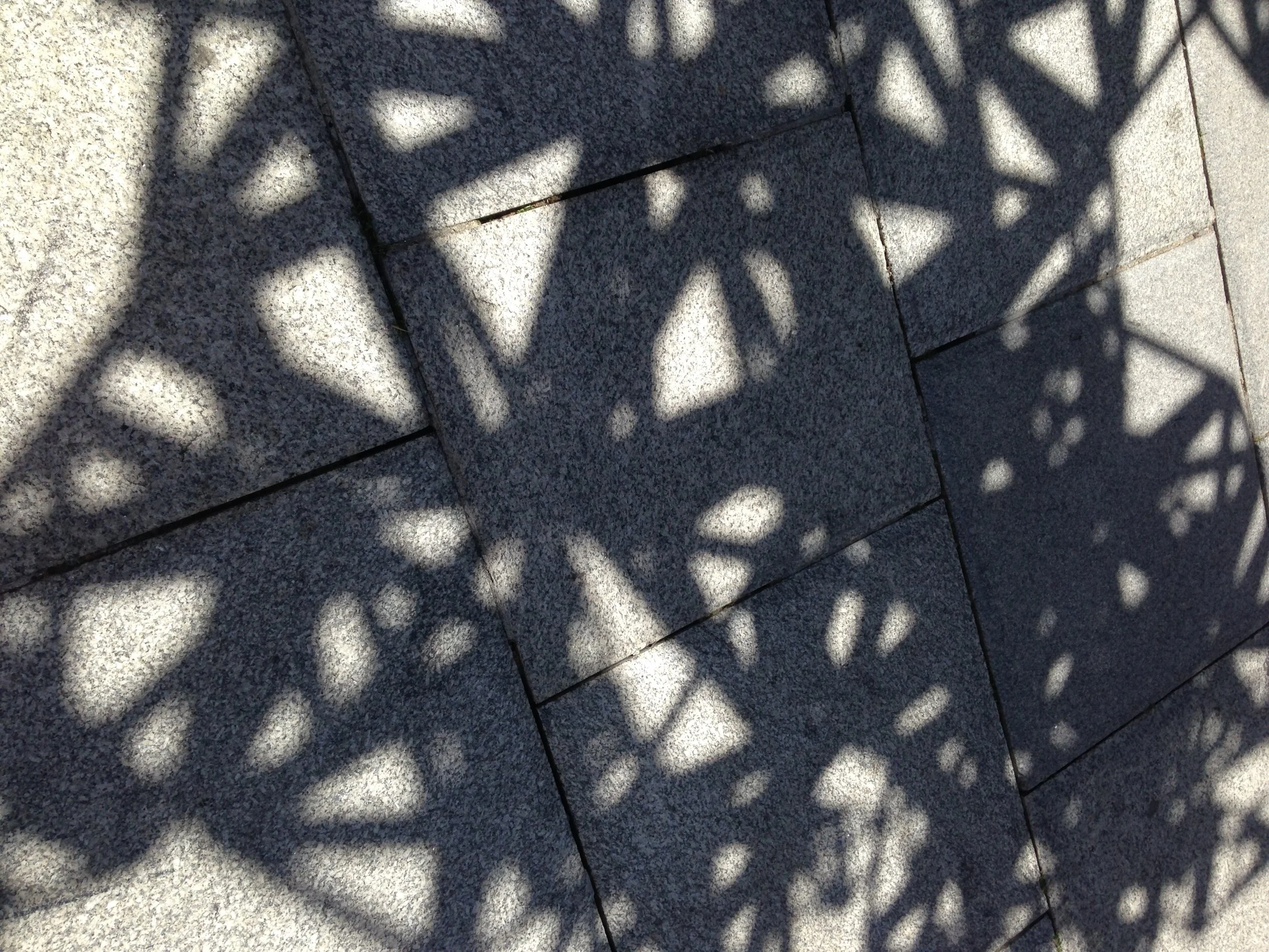 Photo 06-06-2015 14 20 12.jpg