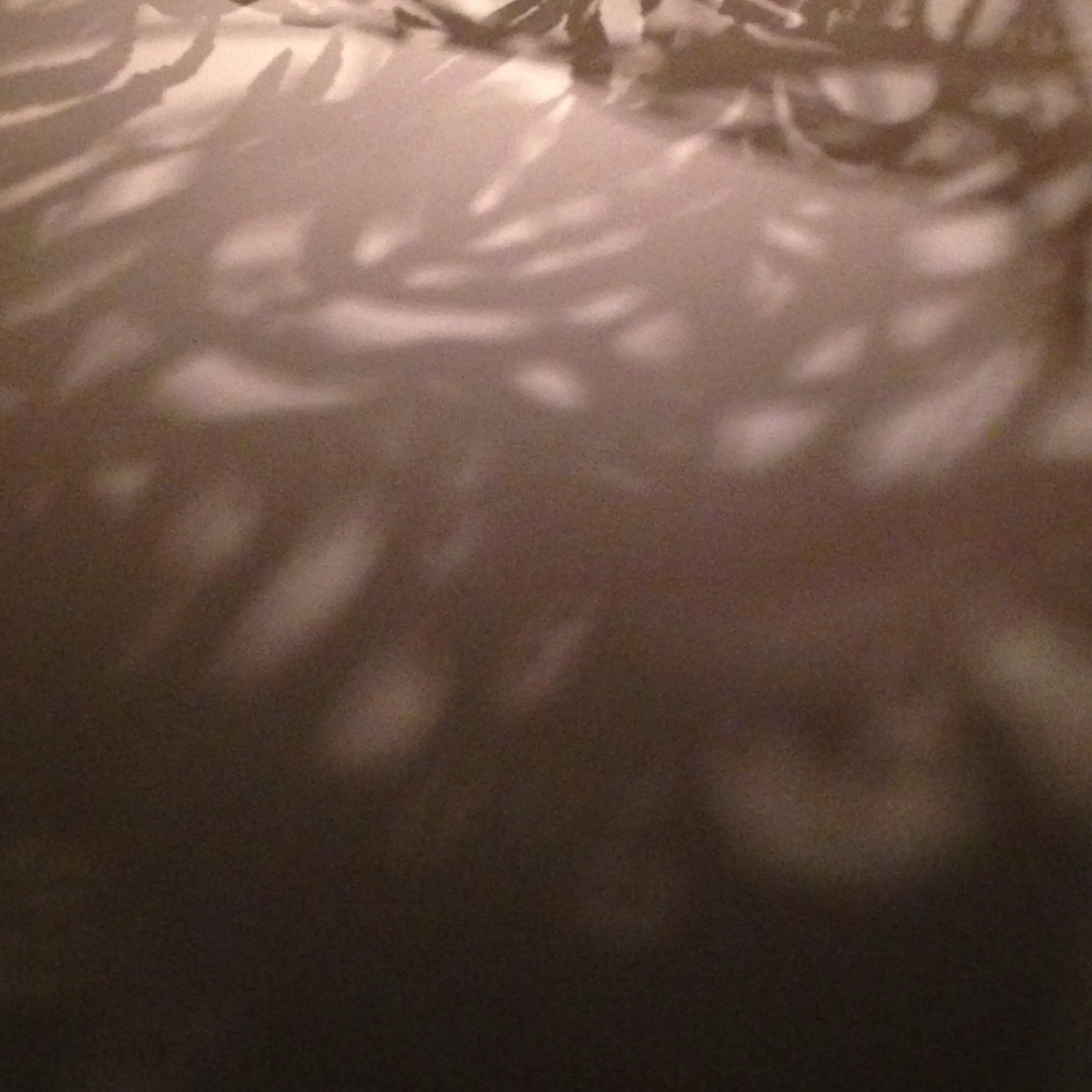 Photo 30-04-2015 13 06 40.jpg