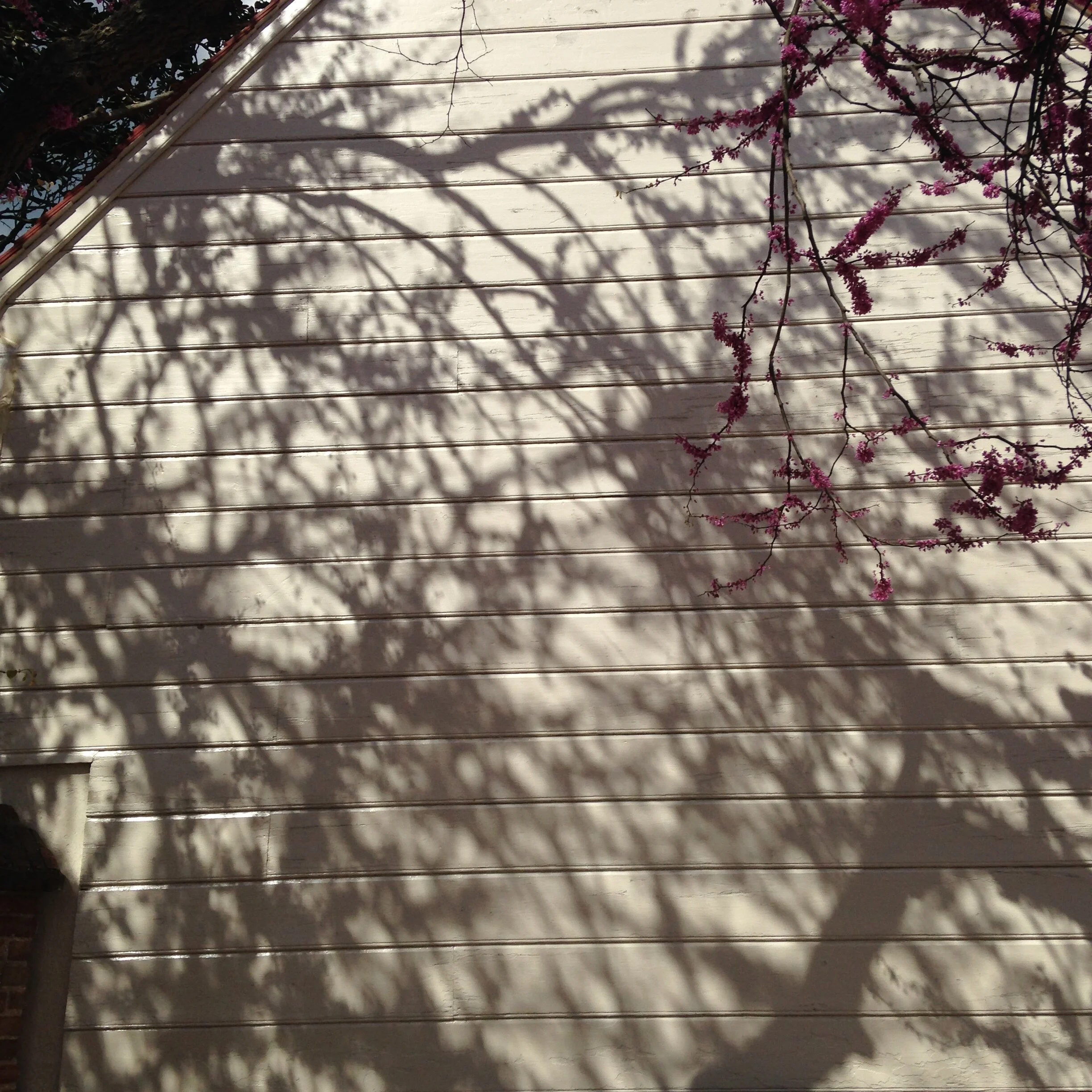 Photo 26-04-2015 15 31 38.jpg