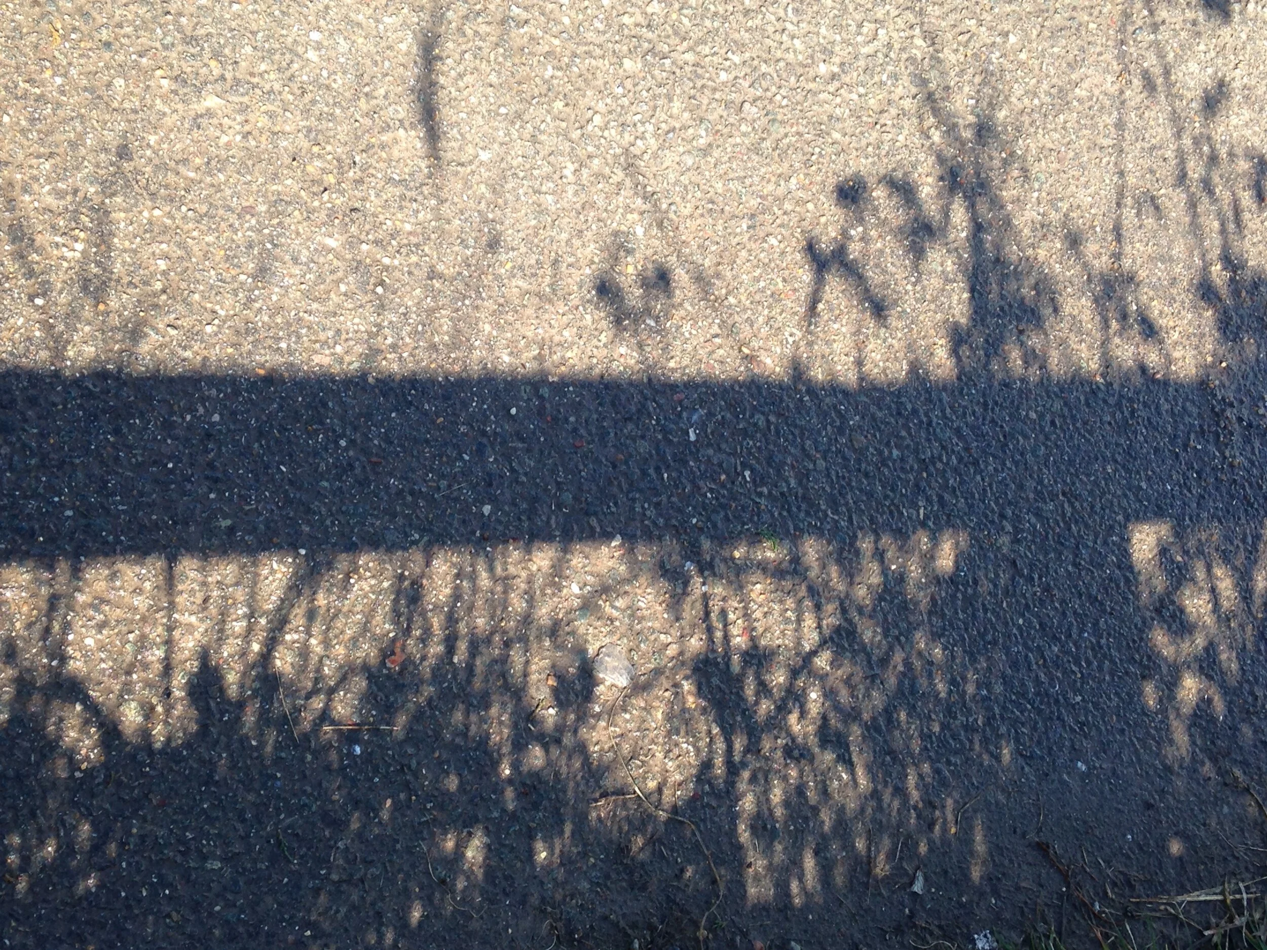 Photo 27-03-2016, 14 19 33.jpg
