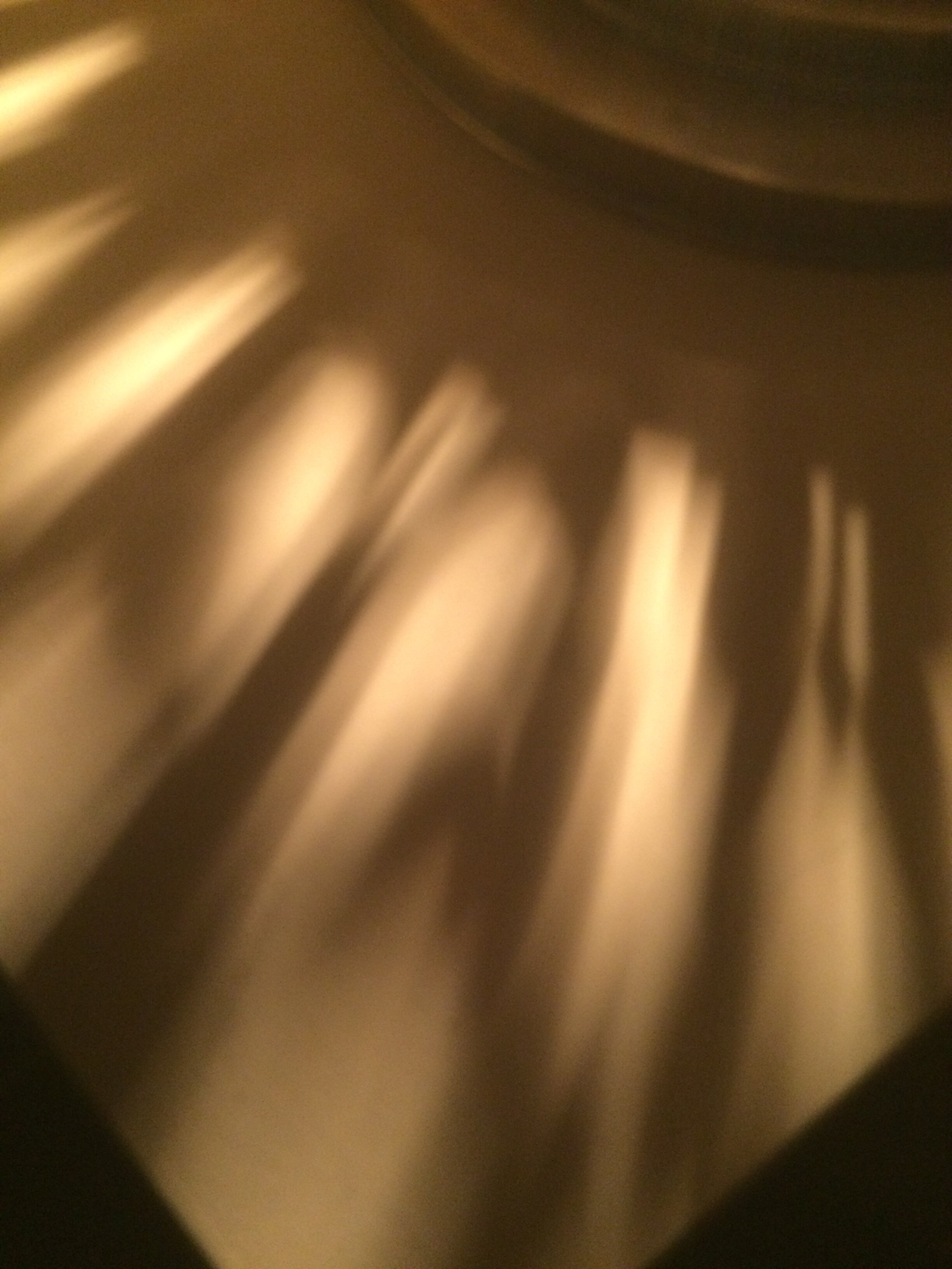 32408970964_9fc37a310b_o.jpg