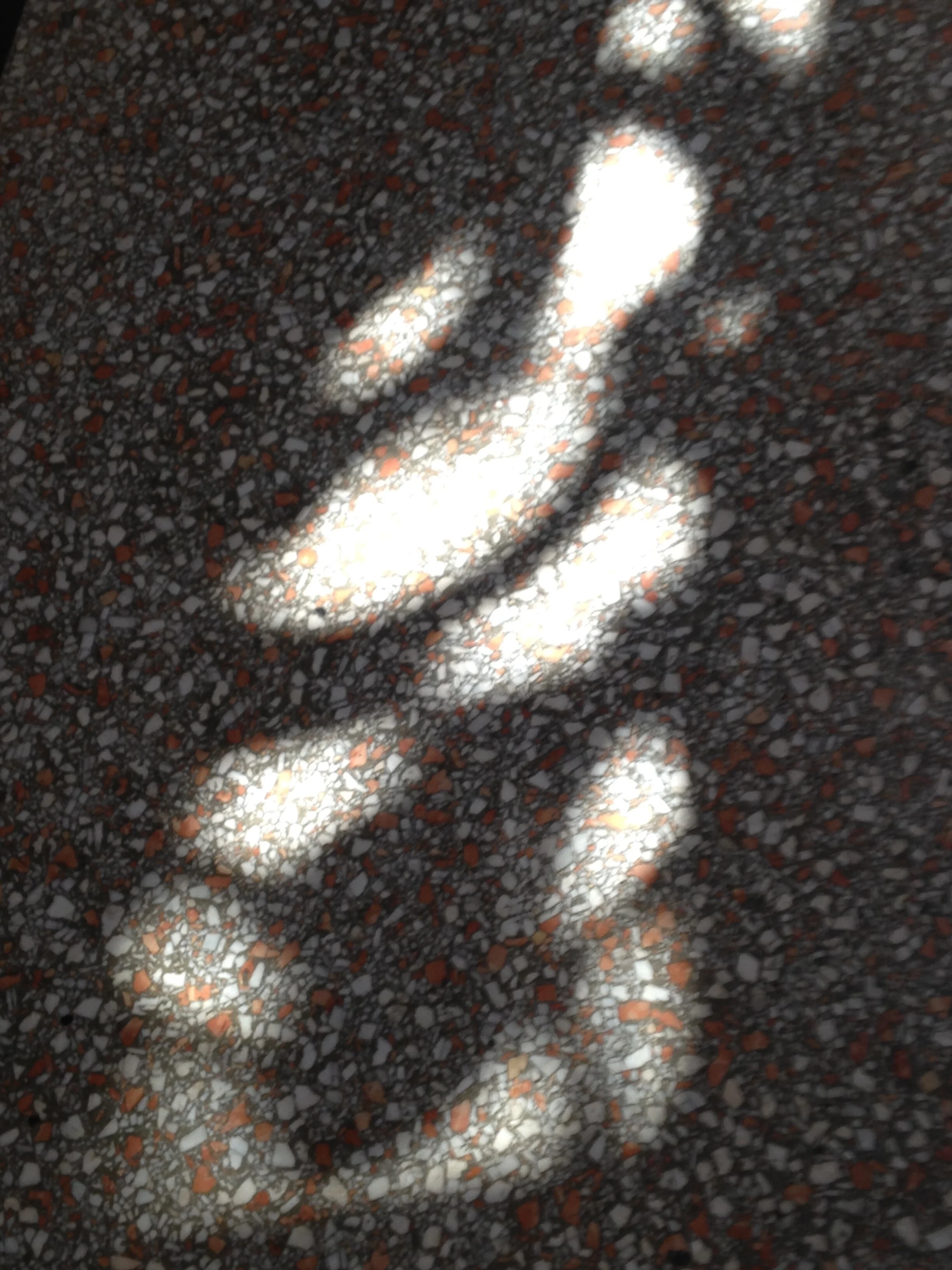 26535581566_22cbce18c3_o.jpg