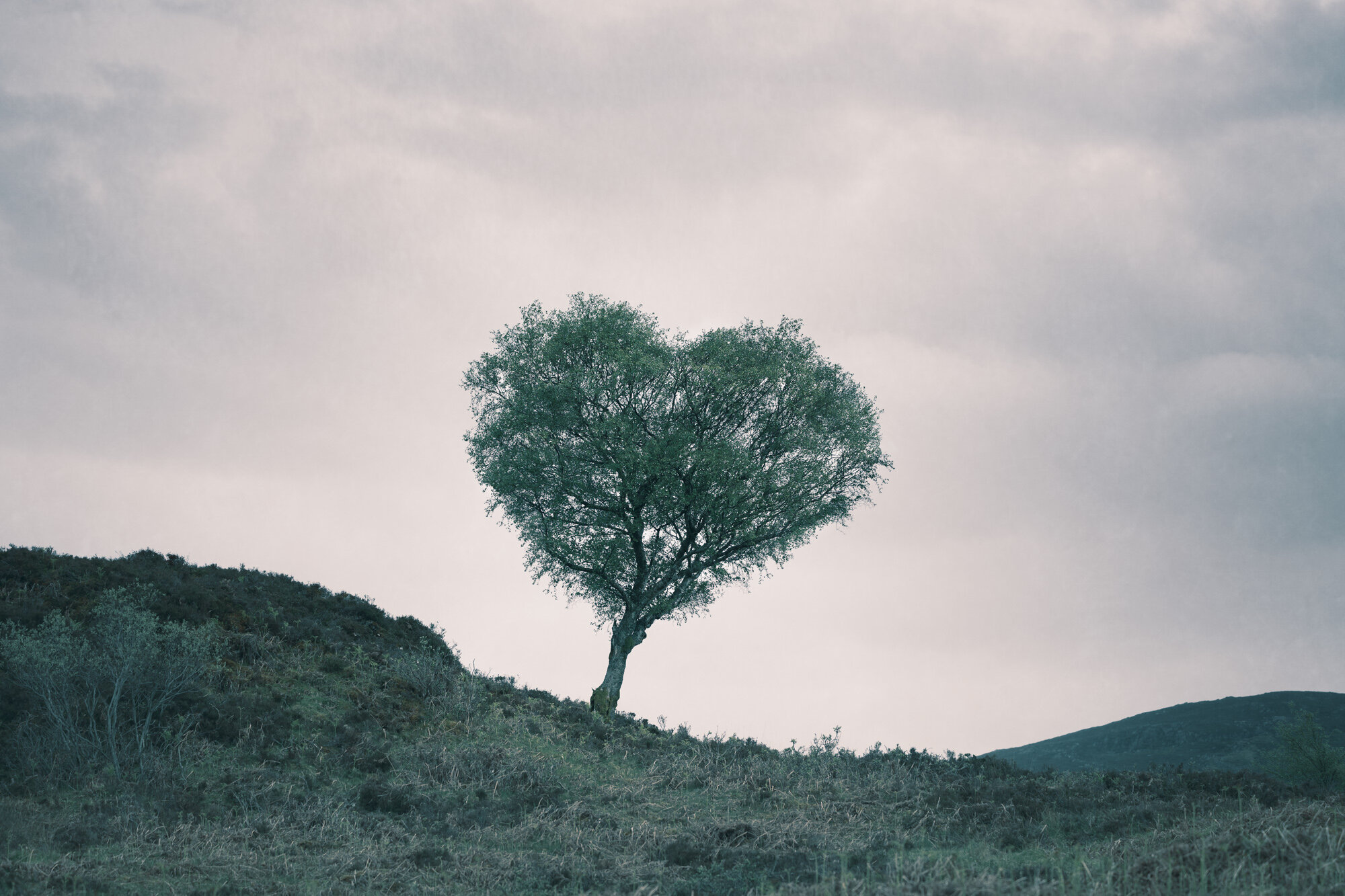 The Heart of Scotland