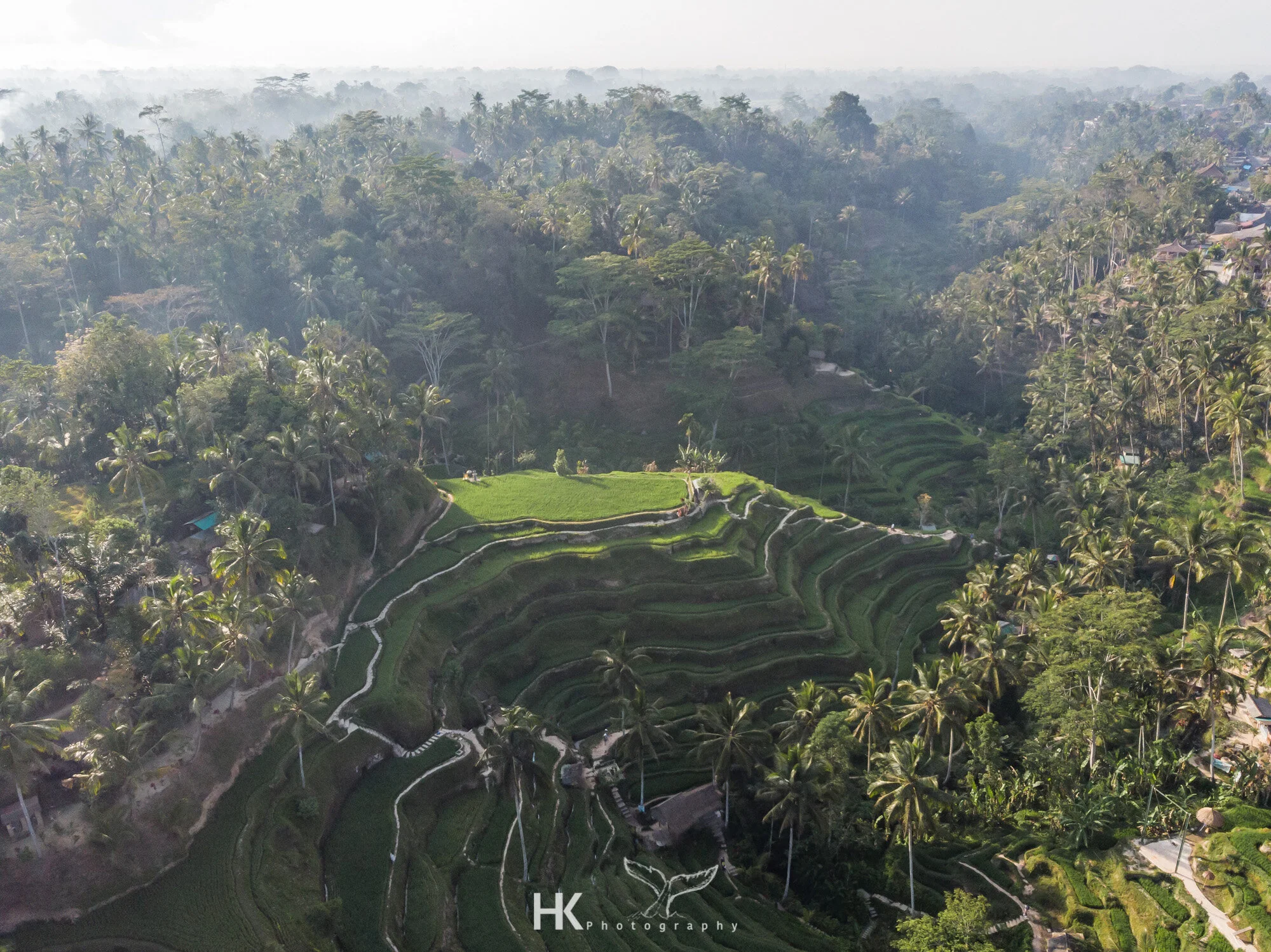 DJI_0699.jpg