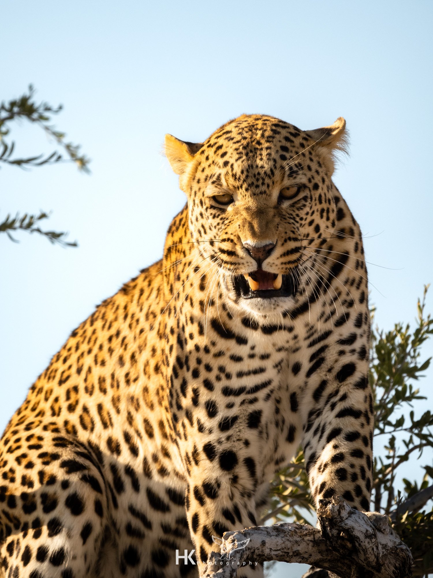 Kevin Namibia-297.jpg
