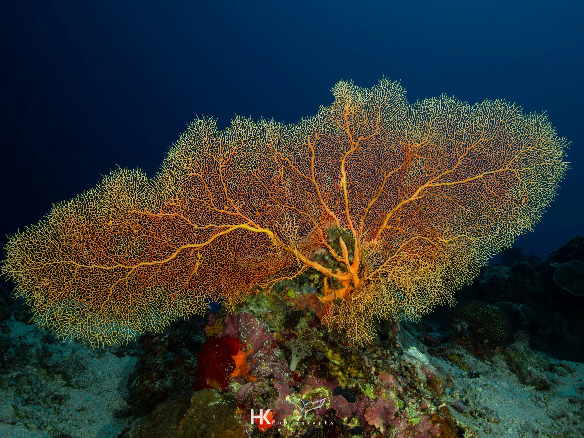 Nabucco 2025-418.jpg