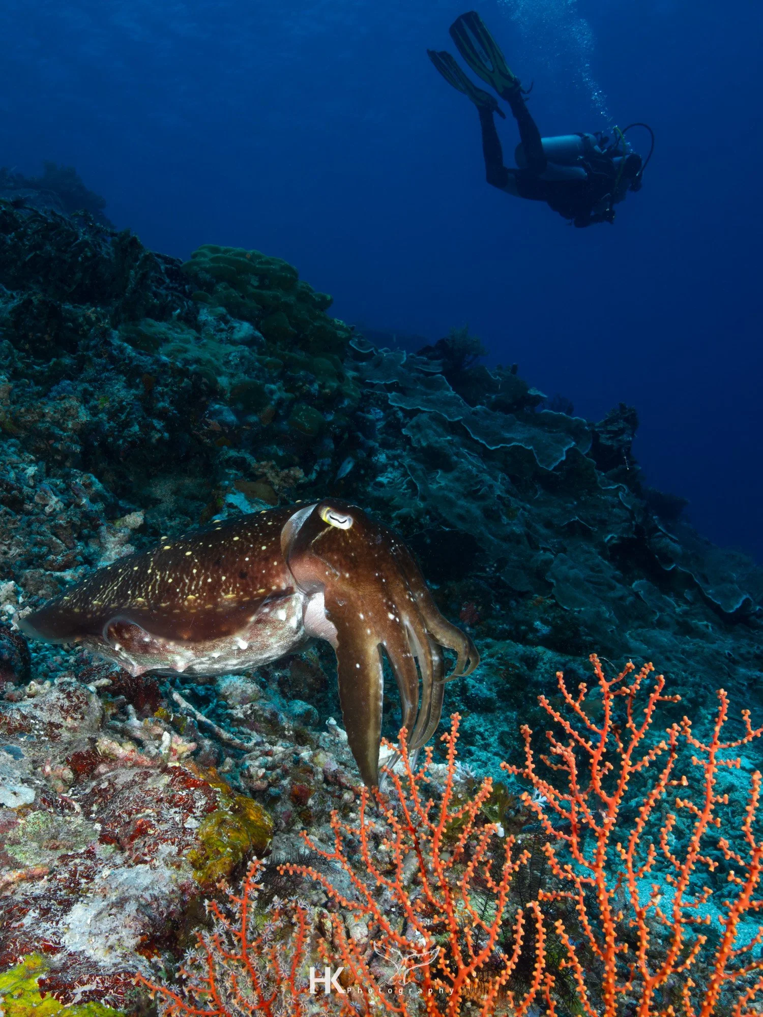 Nabucco 2025-424.jpg